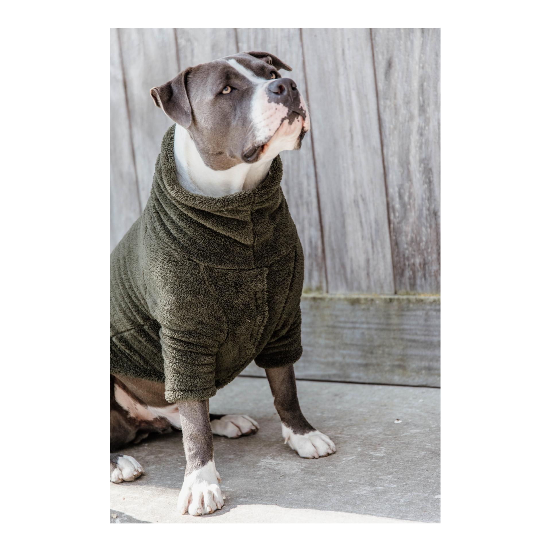 Kentucky Dogwear Pullover pour chien Teddy Fleece - Pine Green