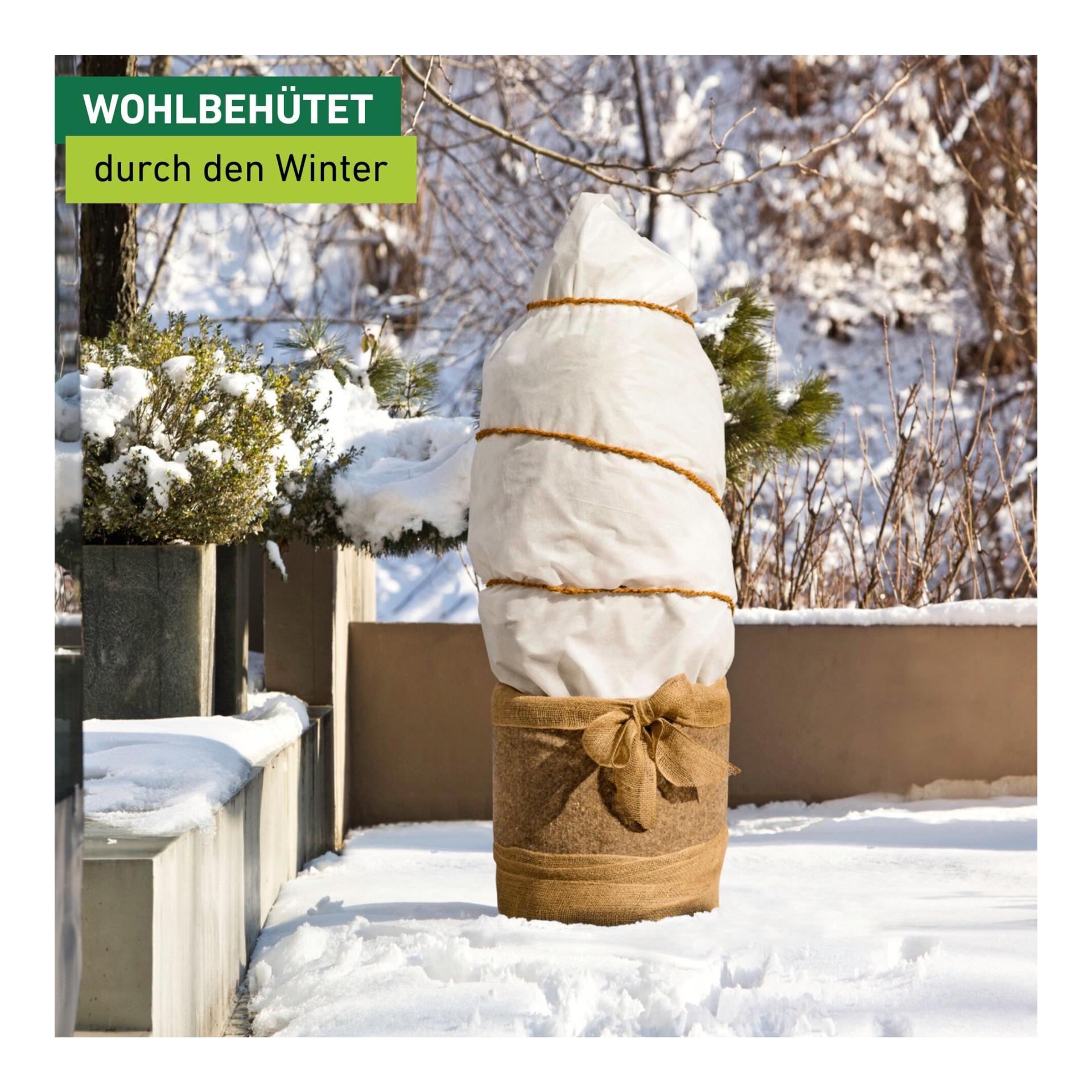 Windhager Winter-Vlies SUPERPROTECT Greenline Weiss
