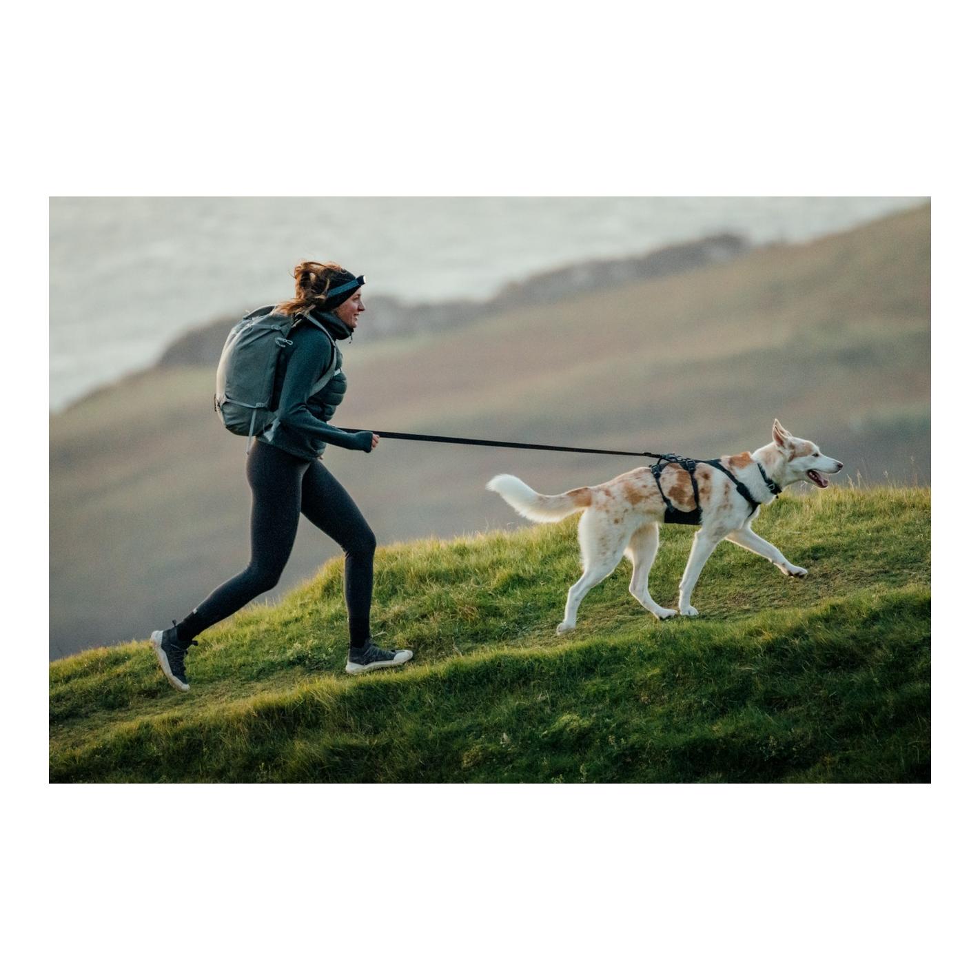 Ruffwear Ridgeline™ Harnais pour chien