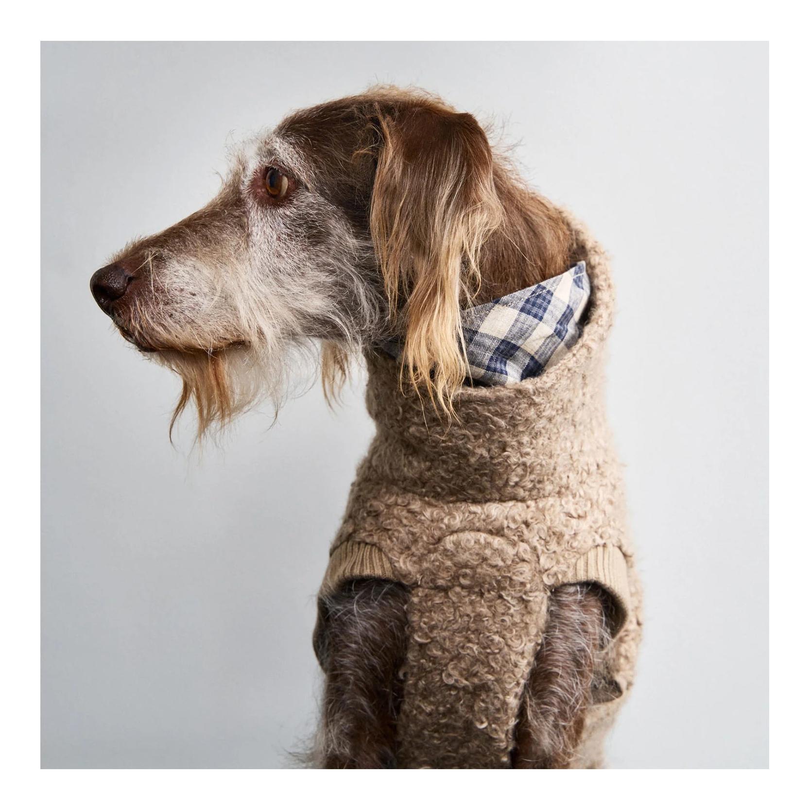 Cloud 7 Pullover pour chien Gotland avec col