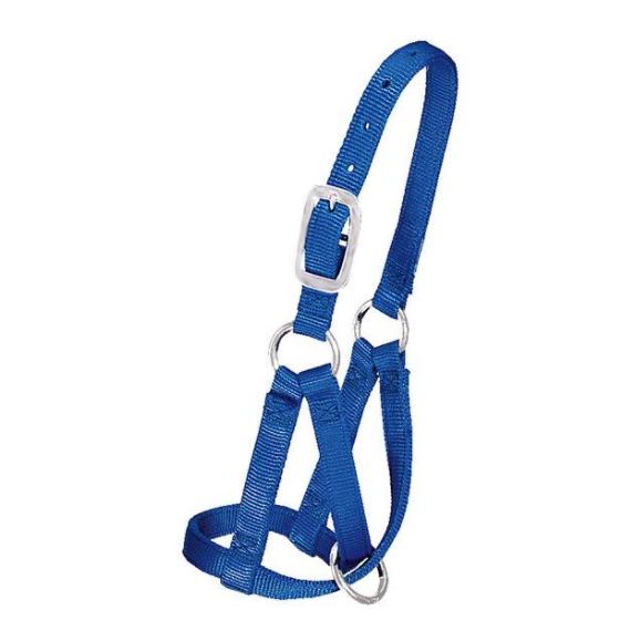 Weaver Livestock Licol pour lama – bleu