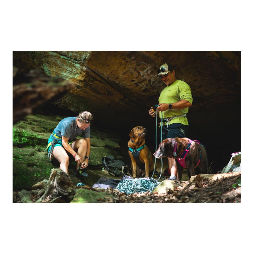 Ruffwear Flagline™ Hundegeschirr
