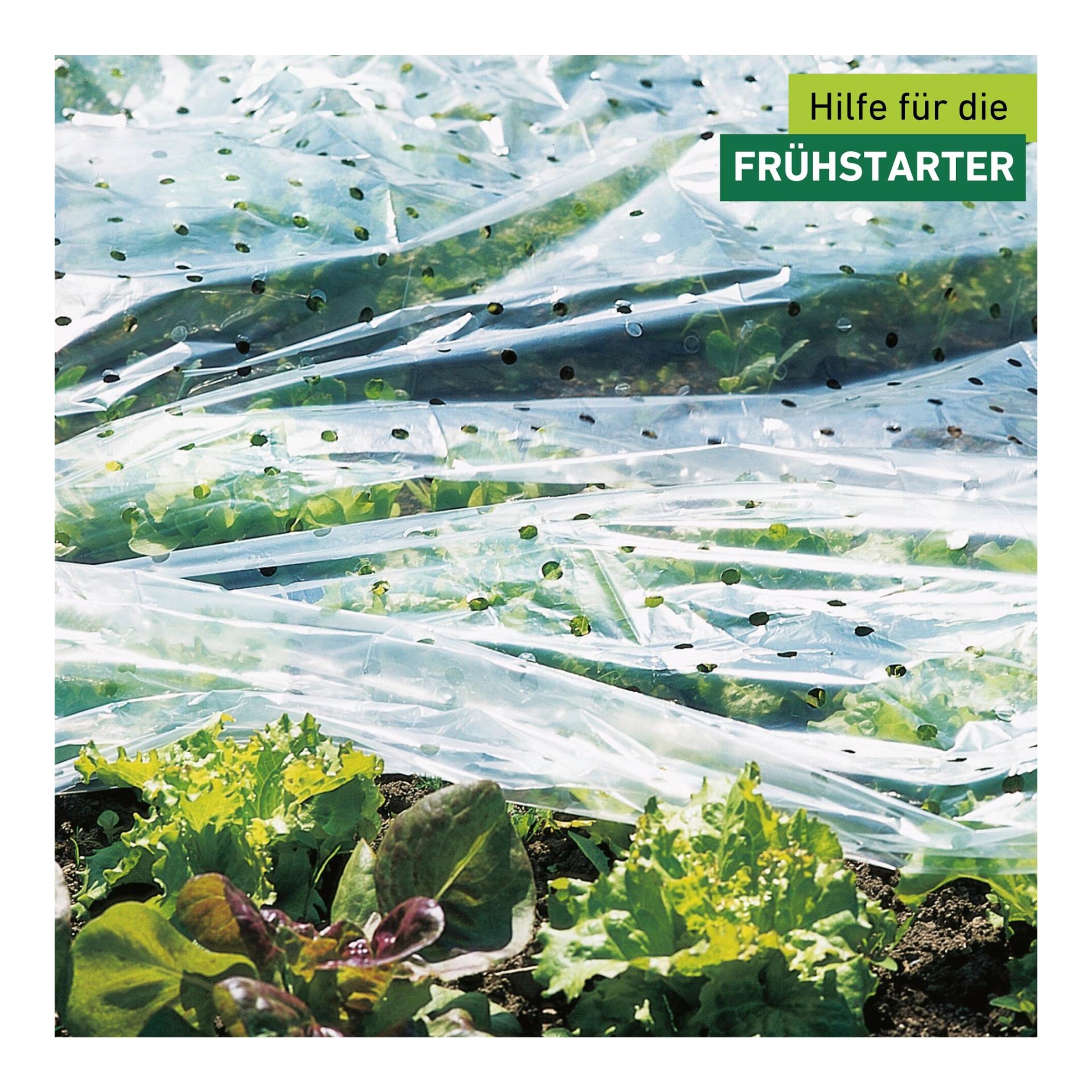 Windhager Frühbeet-Folie