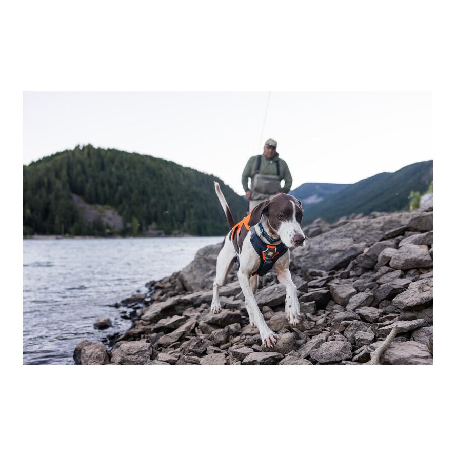 Ruffwear Brush Guard™ Brustschutz