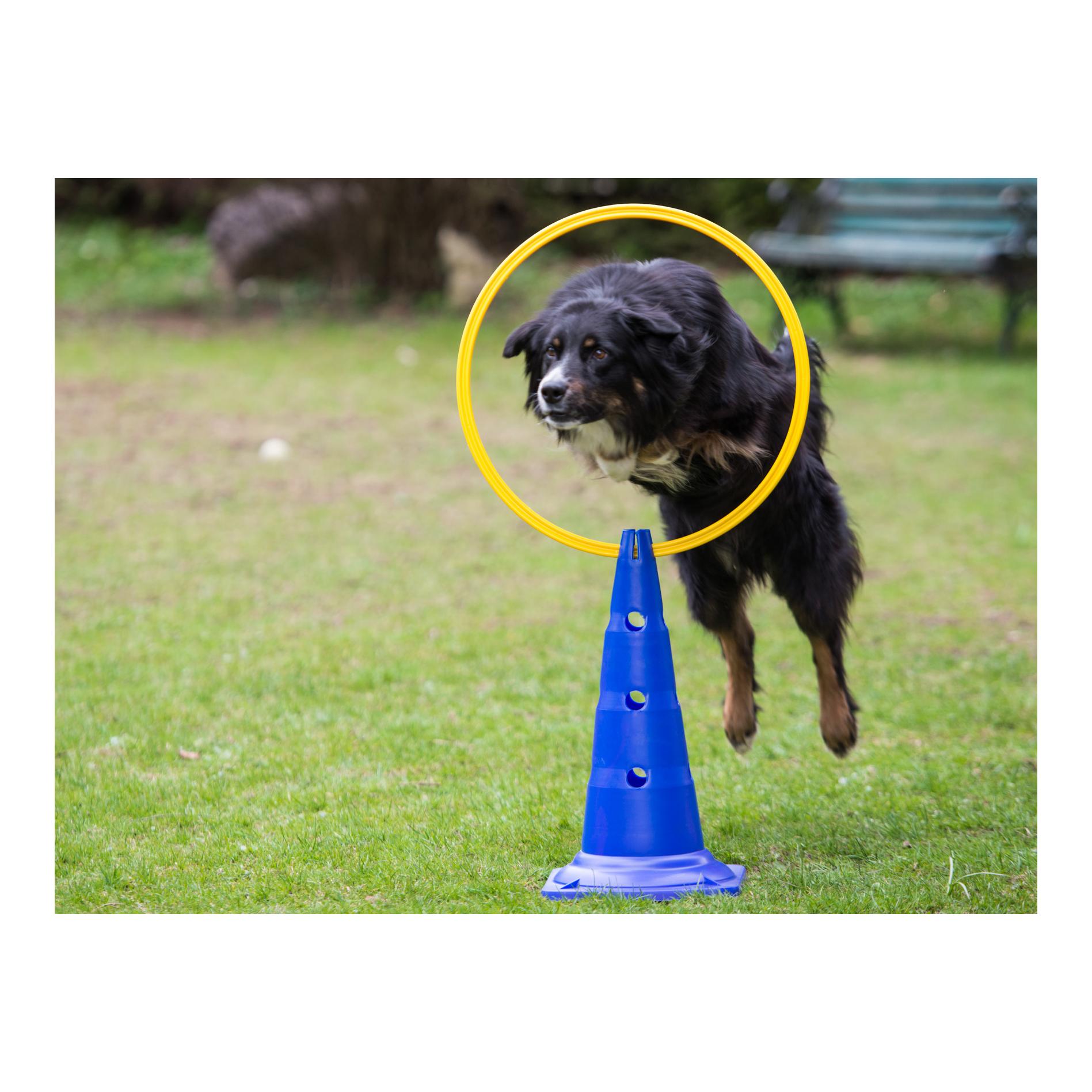 Agility Training Ring 60cm