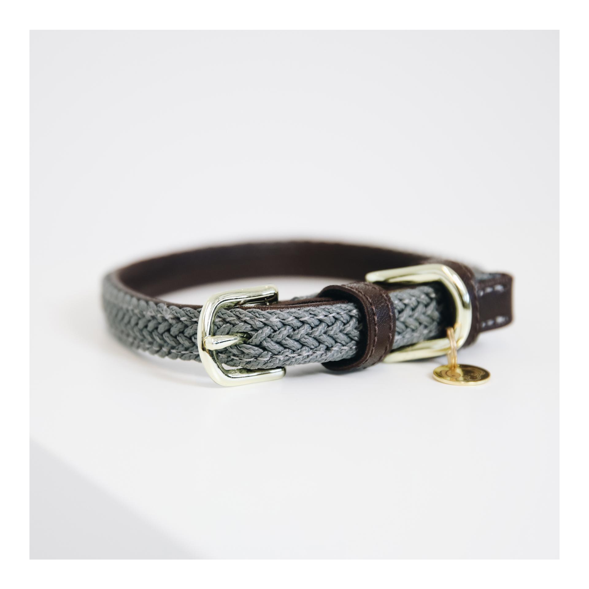 Kentucky Dogwear Collier pour chien en nylon tressé - gris