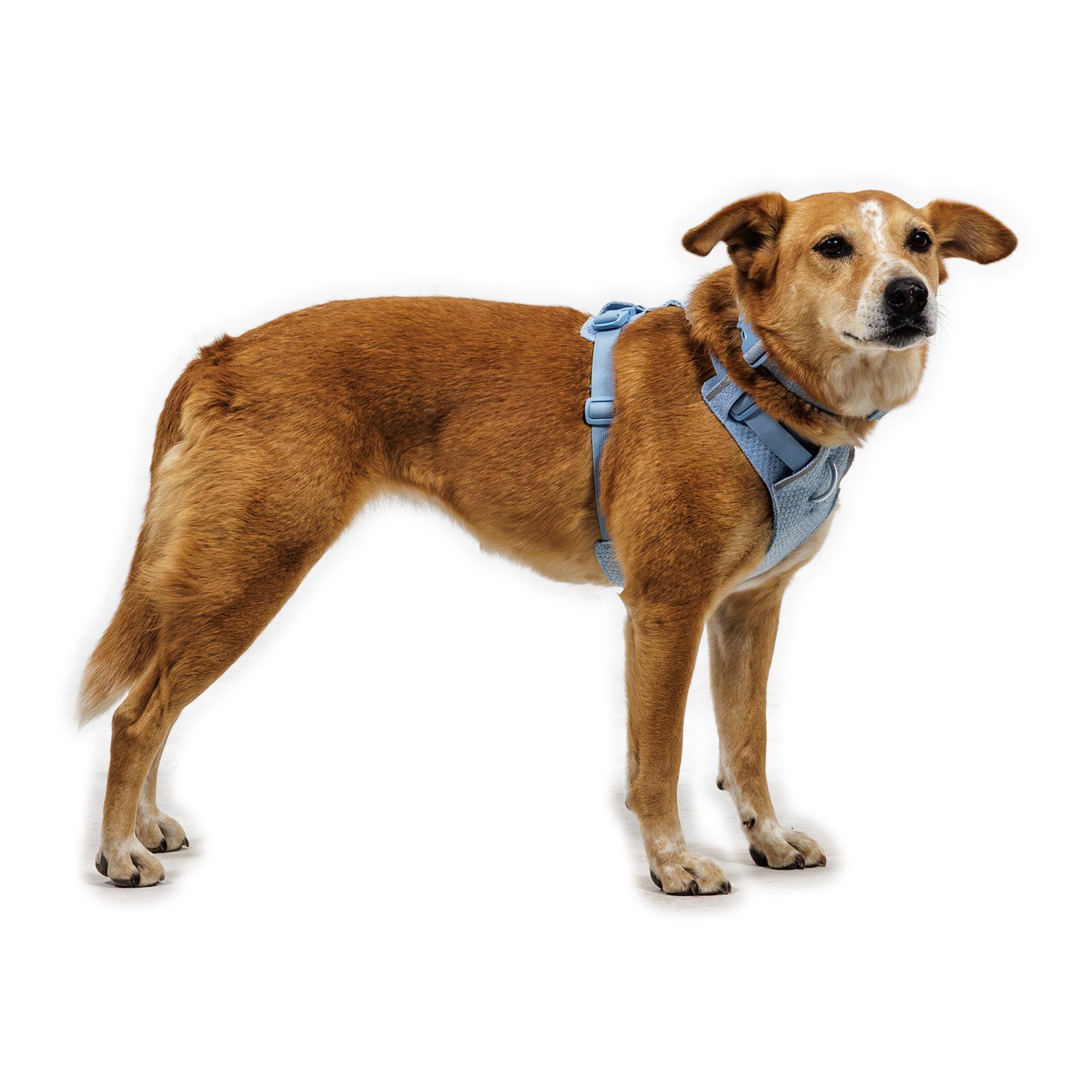 Ruffwear Collier pour chien Front Range™ Flex