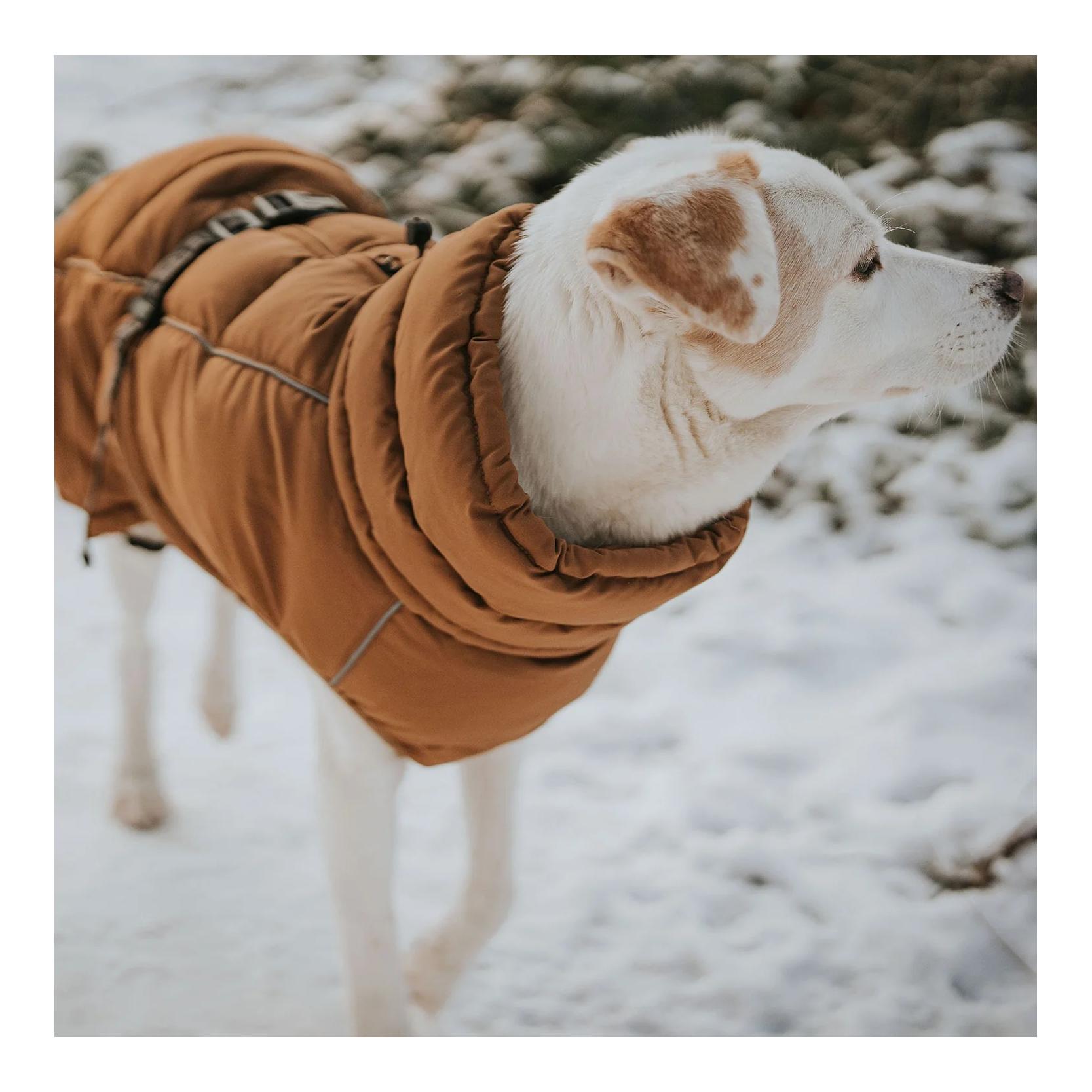 Hunter Manteau pour chien Paxson