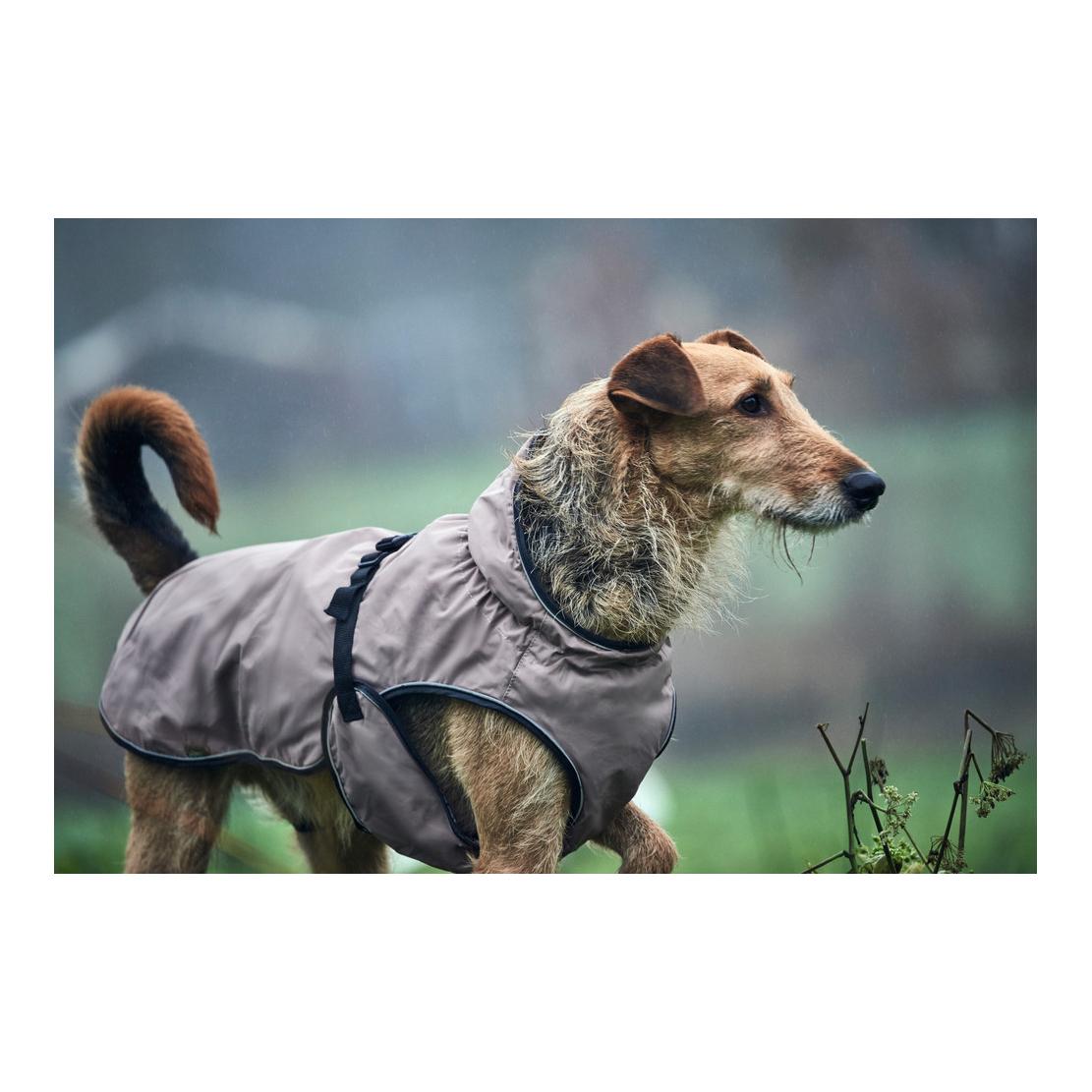 Hunter Manteau pour chien Uppsala polaire amovible- taupe
