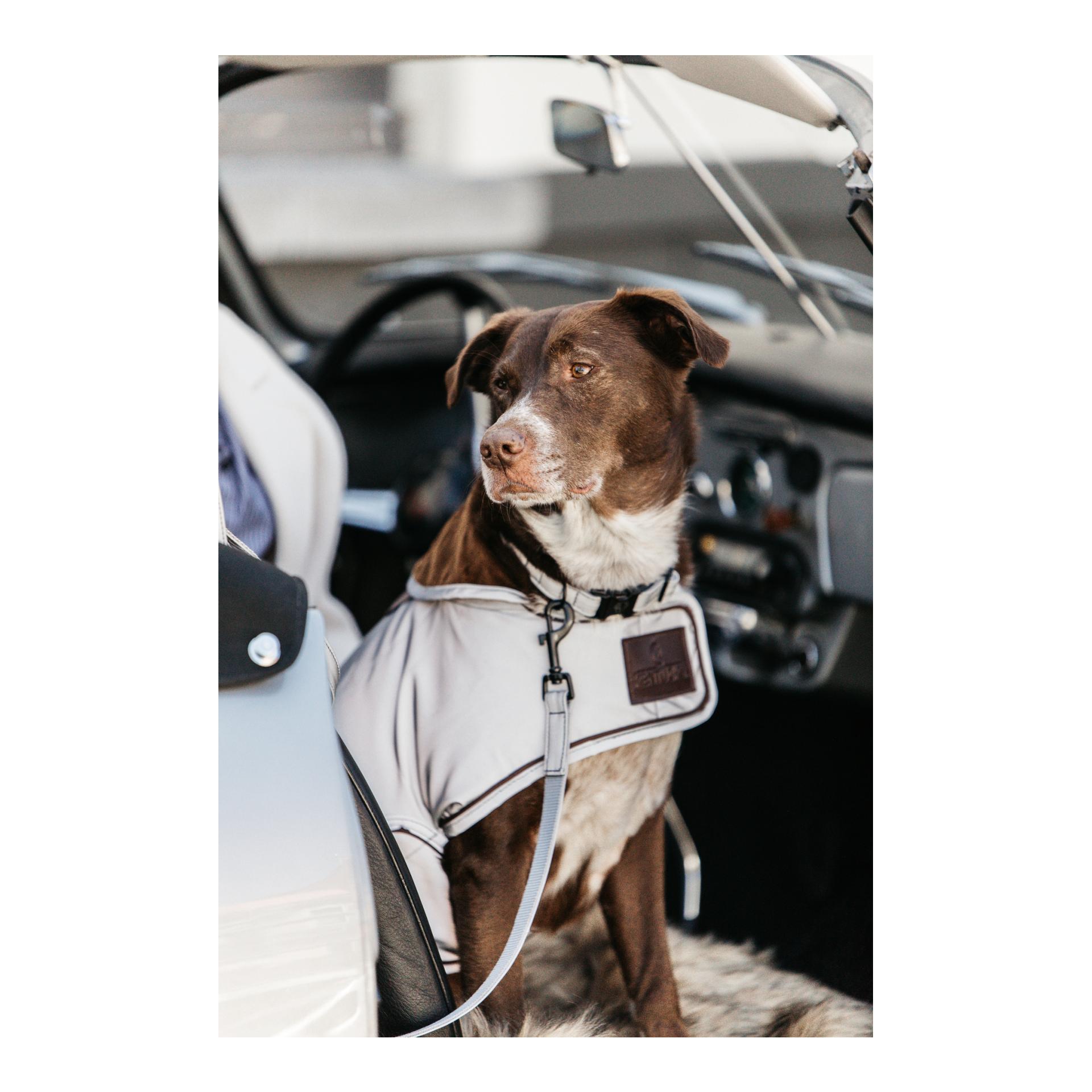 Kentucky Dogwear Manteau pour chien réfléchissant &amp; imperméable