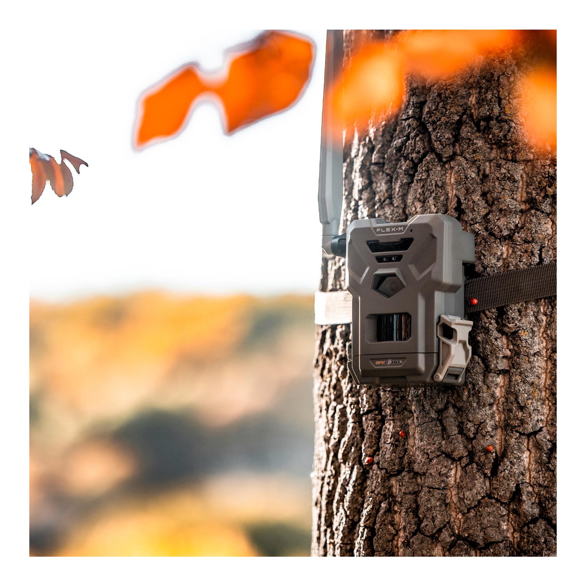 Spypoint Wildkamera FLEX-M Twin Pack