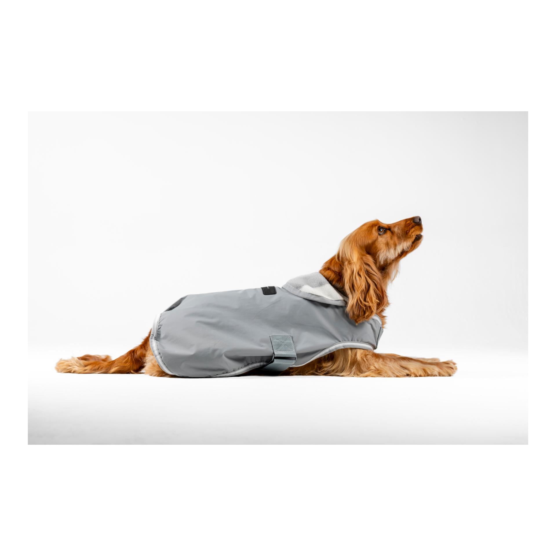 Horseware Hundedecke Newmarket