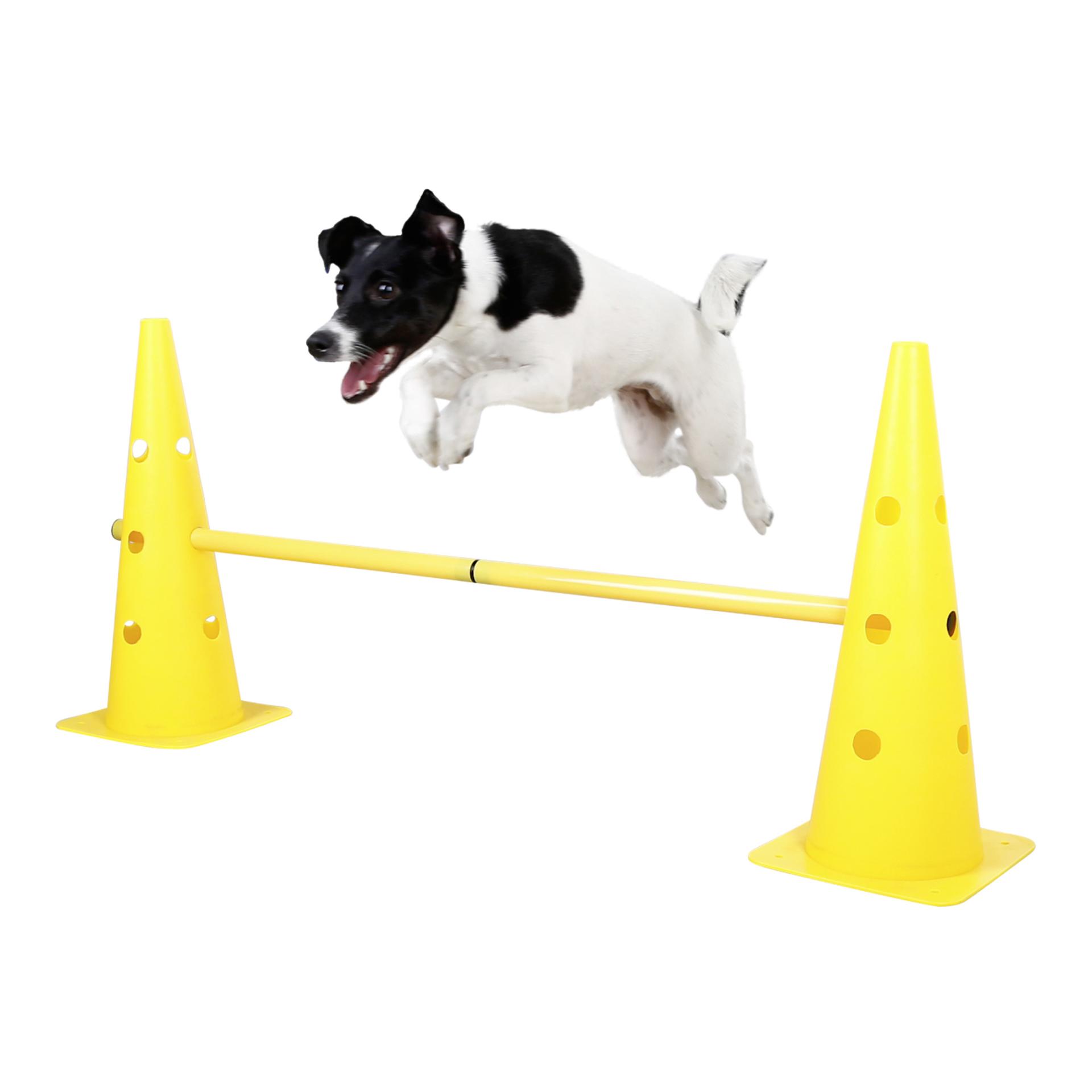 Kerbl Pet Ensemble de cônes et d'obstacles Agility