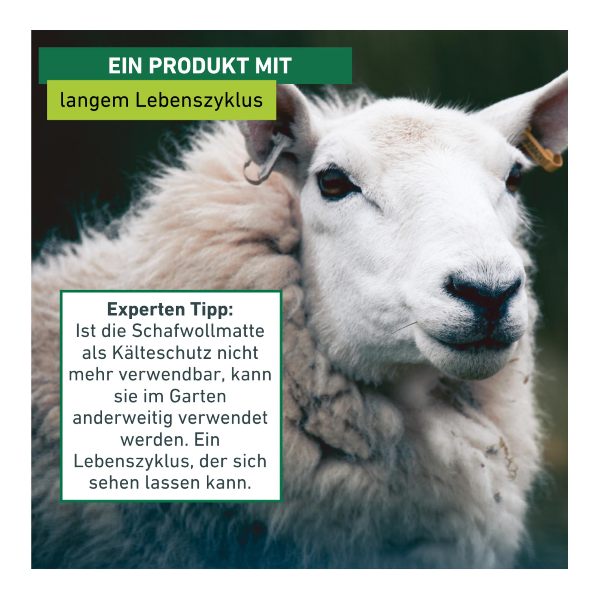 Windhager Kälteschutzmatte aus Schafwoll-Filz