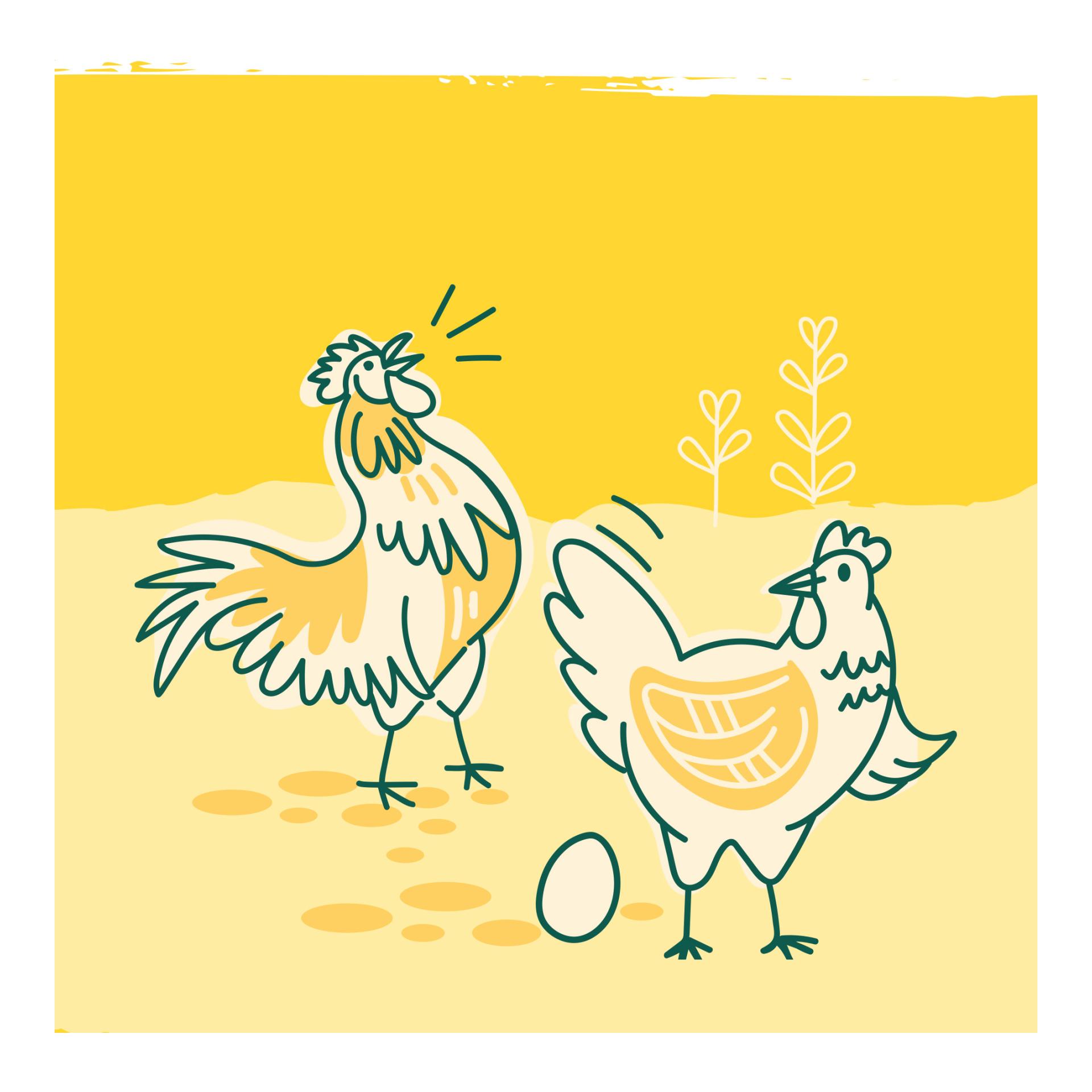 IdaPlus GoldenEgg - für feste Eierschalen
