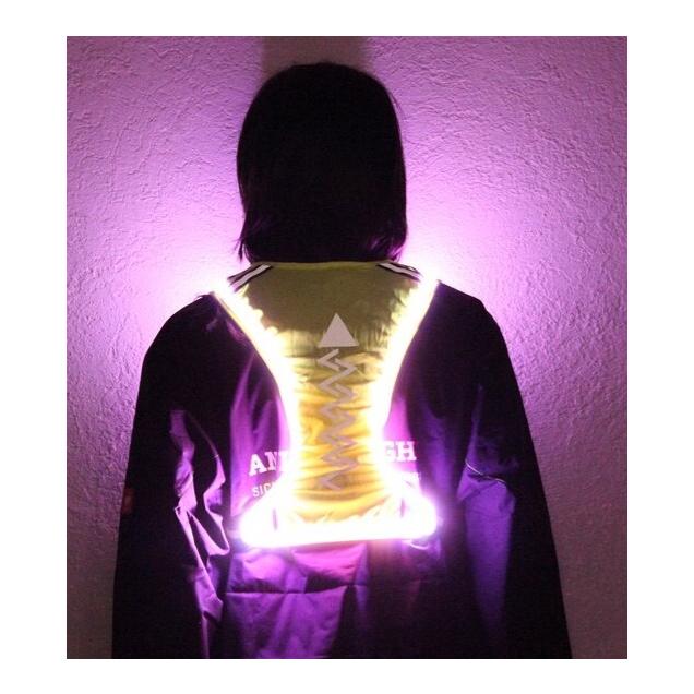 Animal Light LED Leuchtweste Flex - grün
