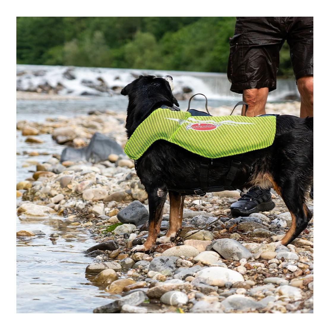 Beat Grossenbacher Schwimmweste für Hunde