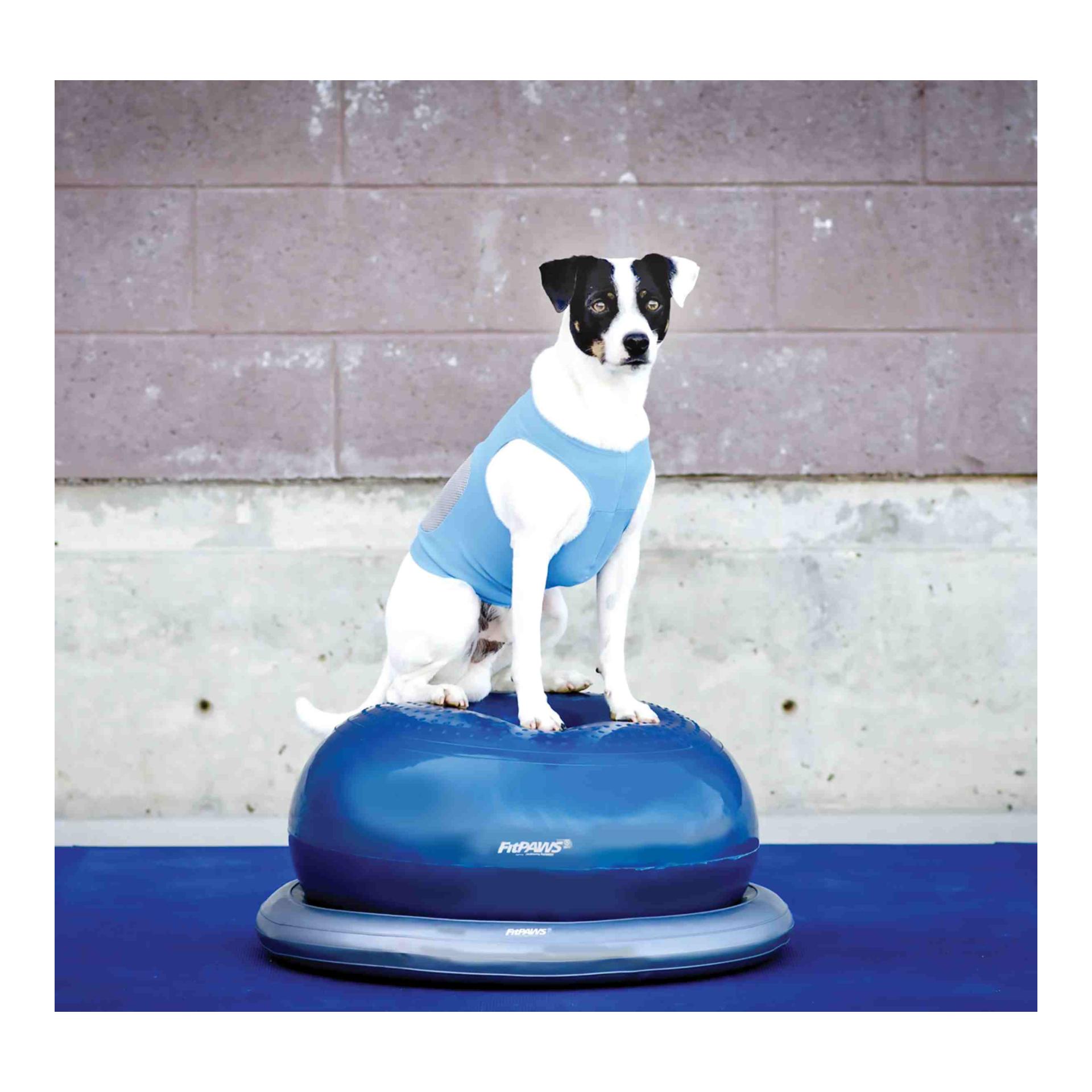 FitPaws FitPAWS Donut