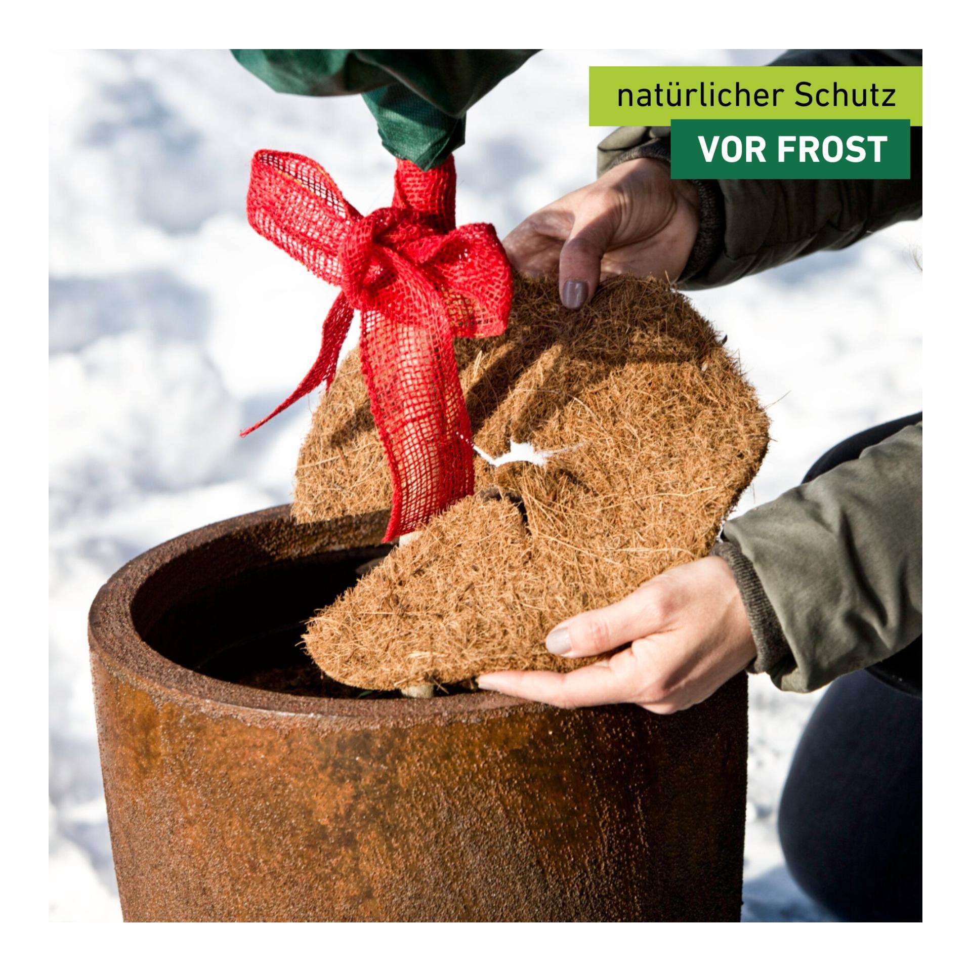 Windhager Mulchscheibe Cocodisc Greenline