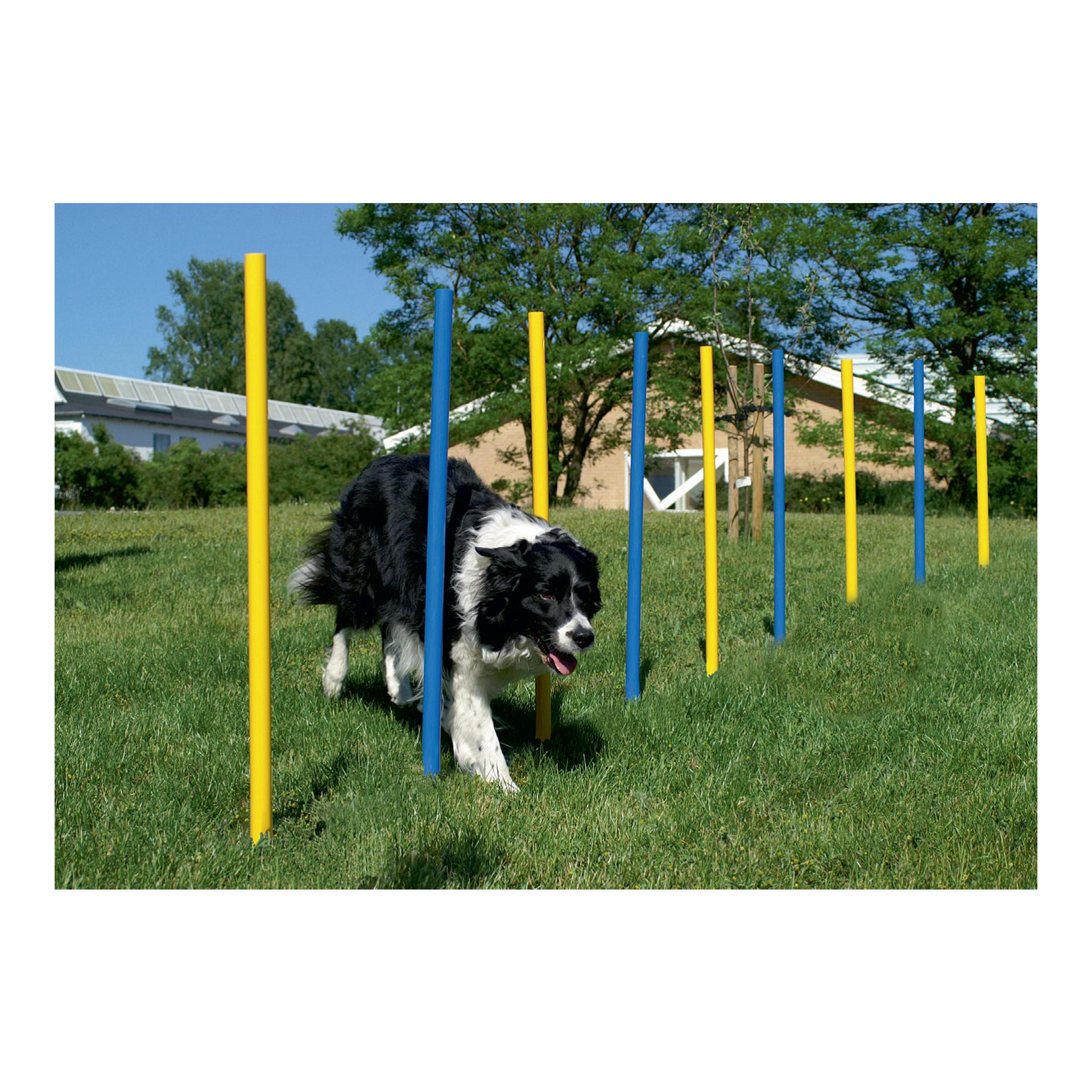 Agility Slalomstangen Set