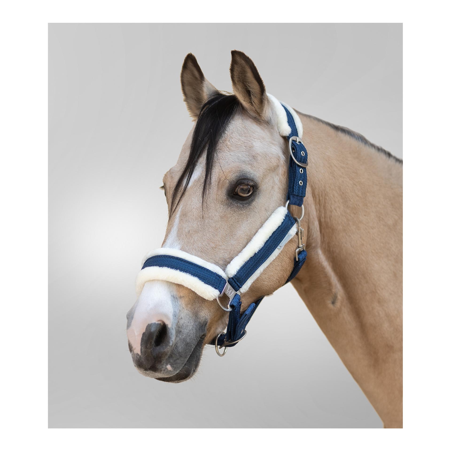 Waldhausen Halfter Sparkle - nachtblau