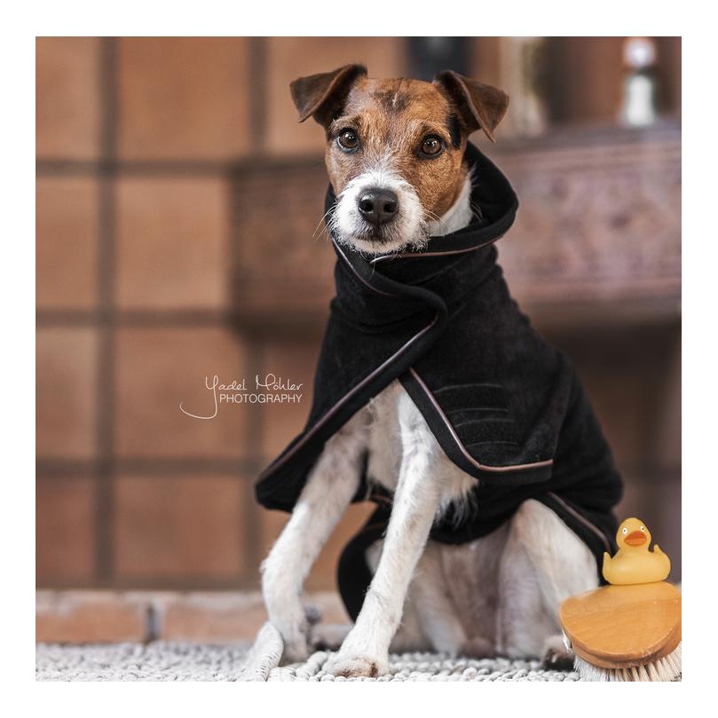 Kentucky Dogwear Hundemantel Dog Coat Towel
