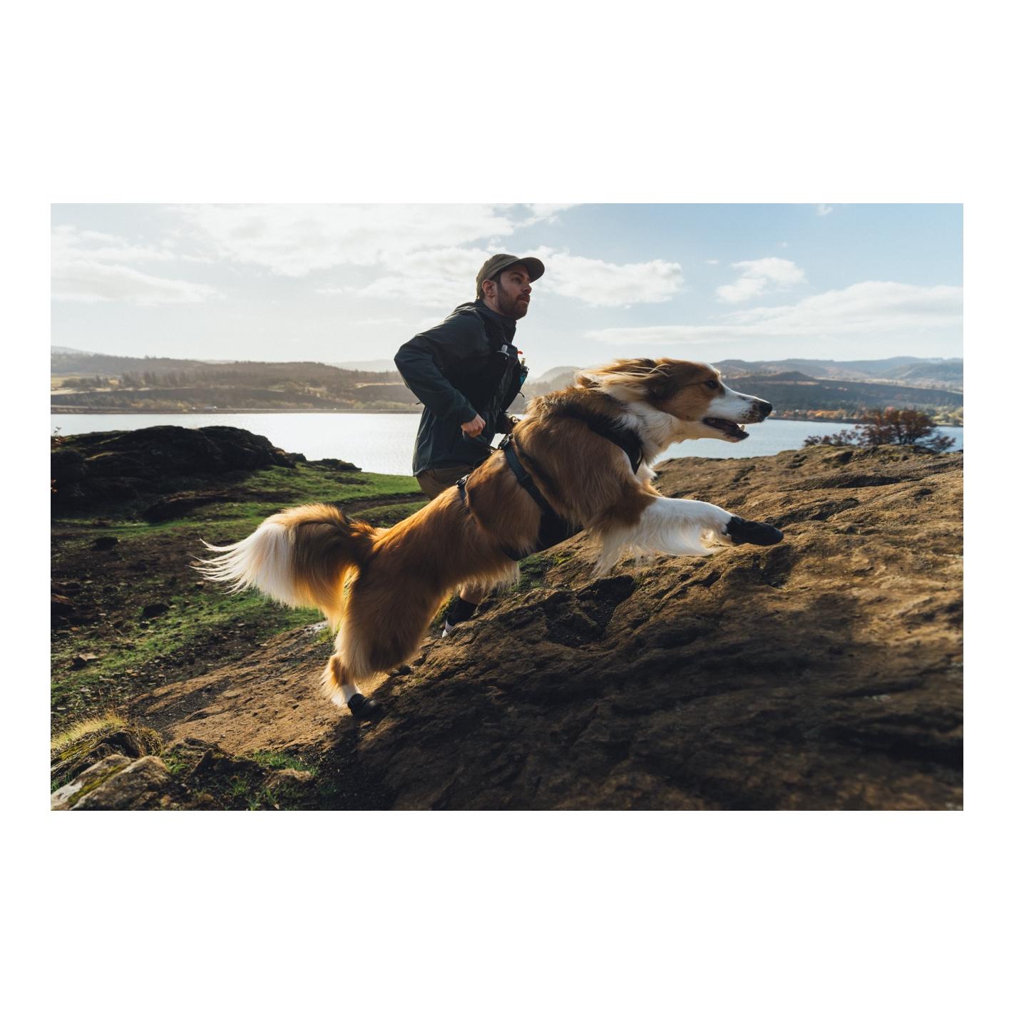 Ruffwear Ridgeline™ Collier de chien
