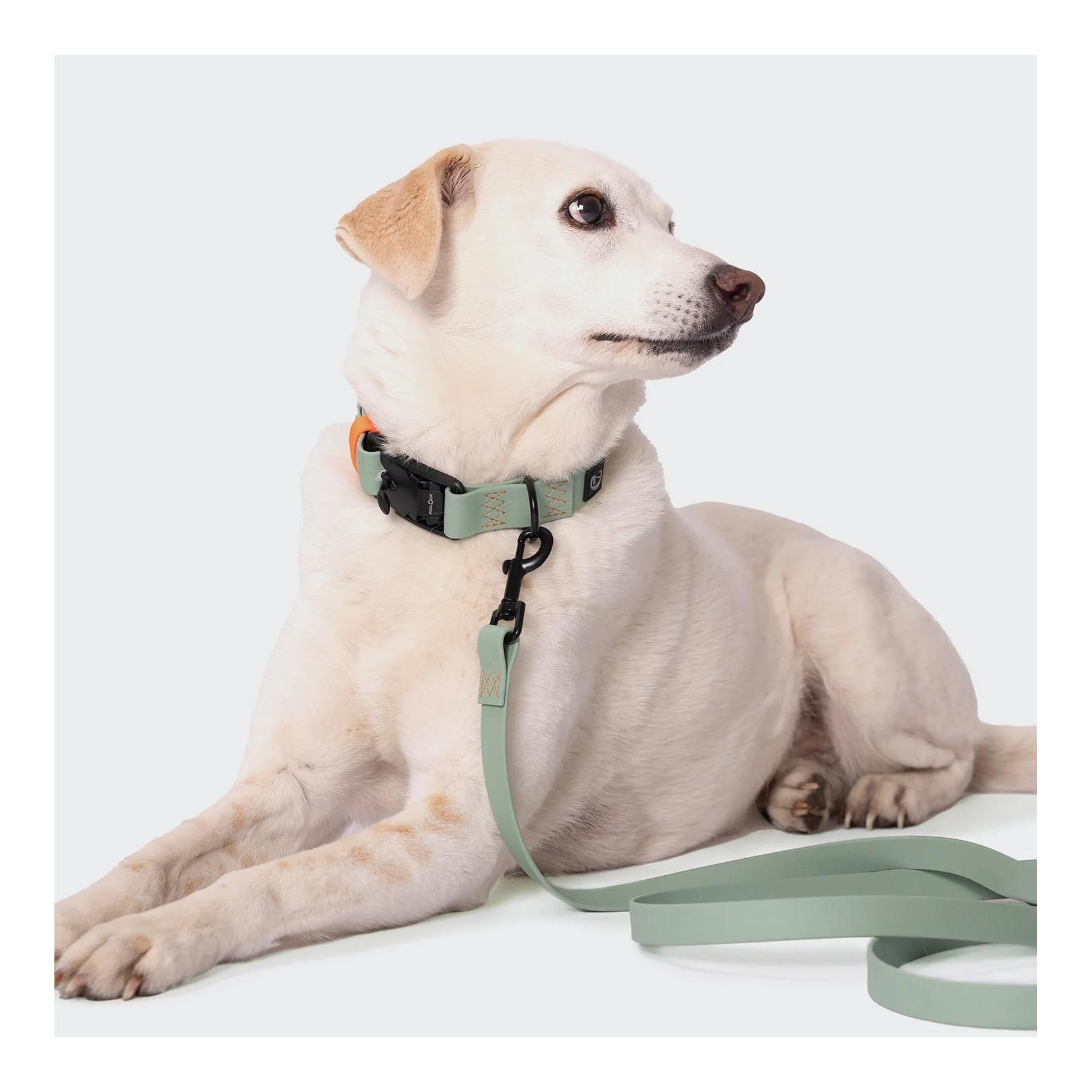 Cloud 7 Hundehalsband BioThane Ipanema