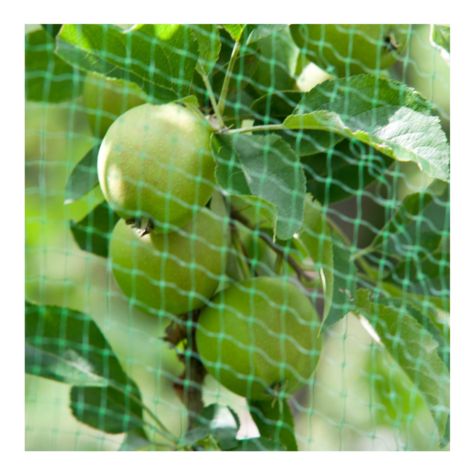 Windhager Filet de protection «OrtoNet», vert
