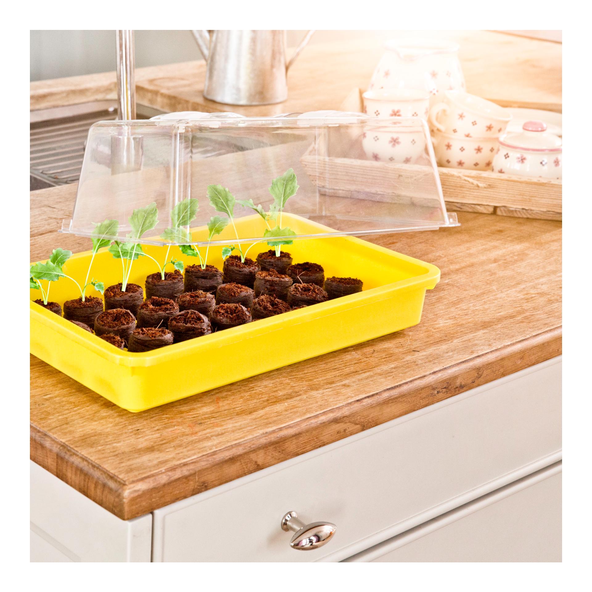Windhager Haube zu Aussaat - Schalen - transparent