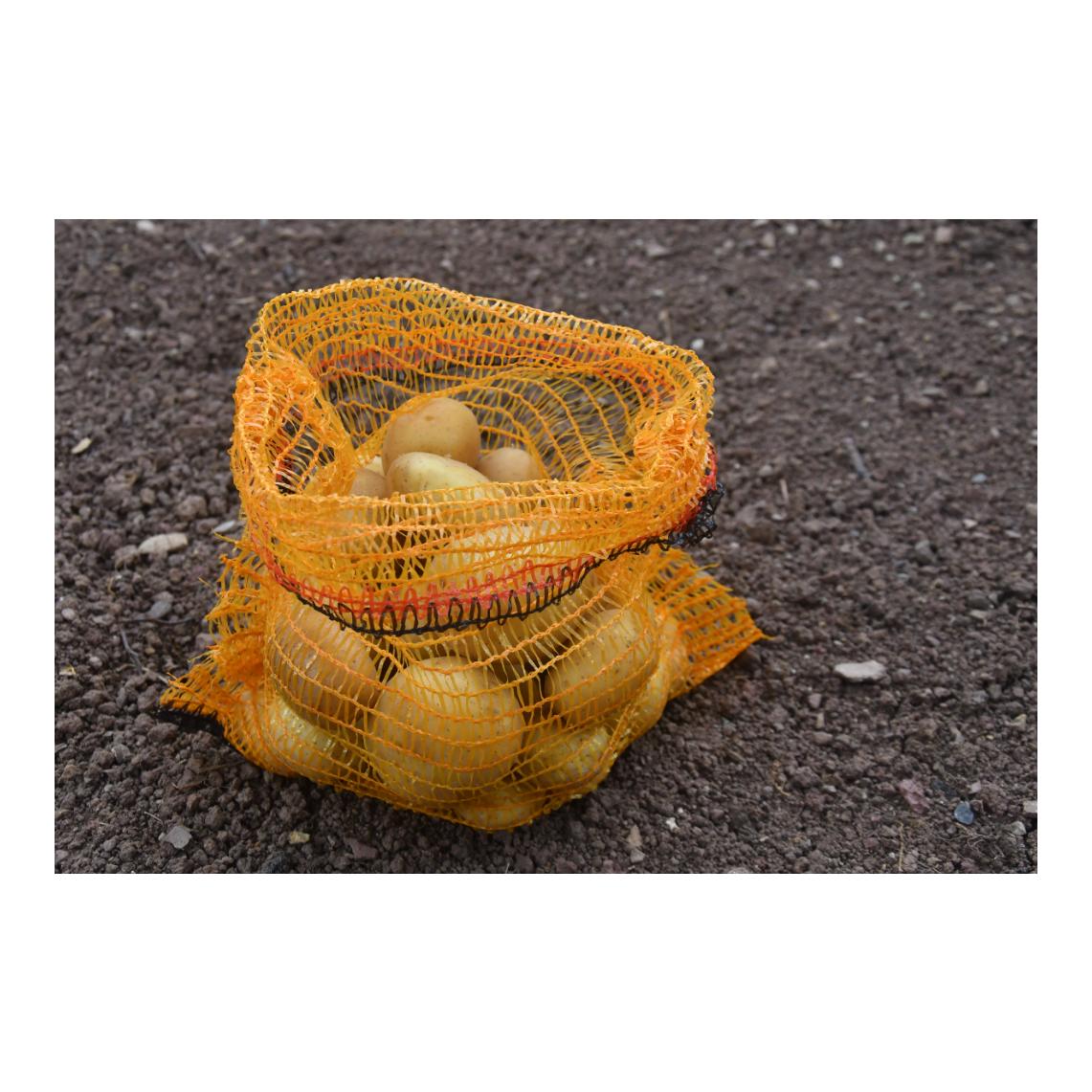 Hauptner Sacs à pommes de terre / sacs à fruits sans lien de serrage - 100 pièces