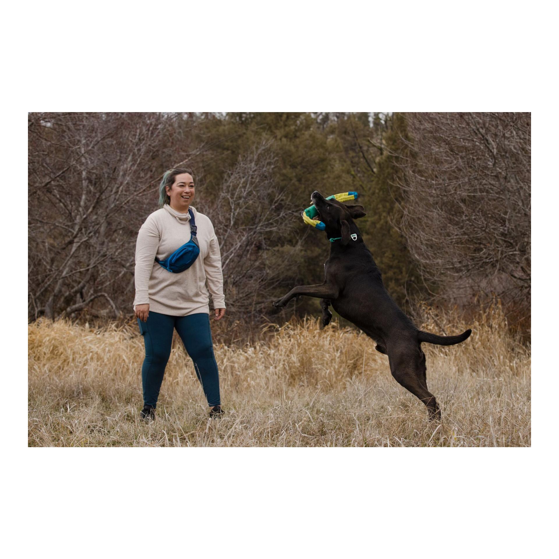 Ruffwear Pacific Loop™ Hundespielzeug