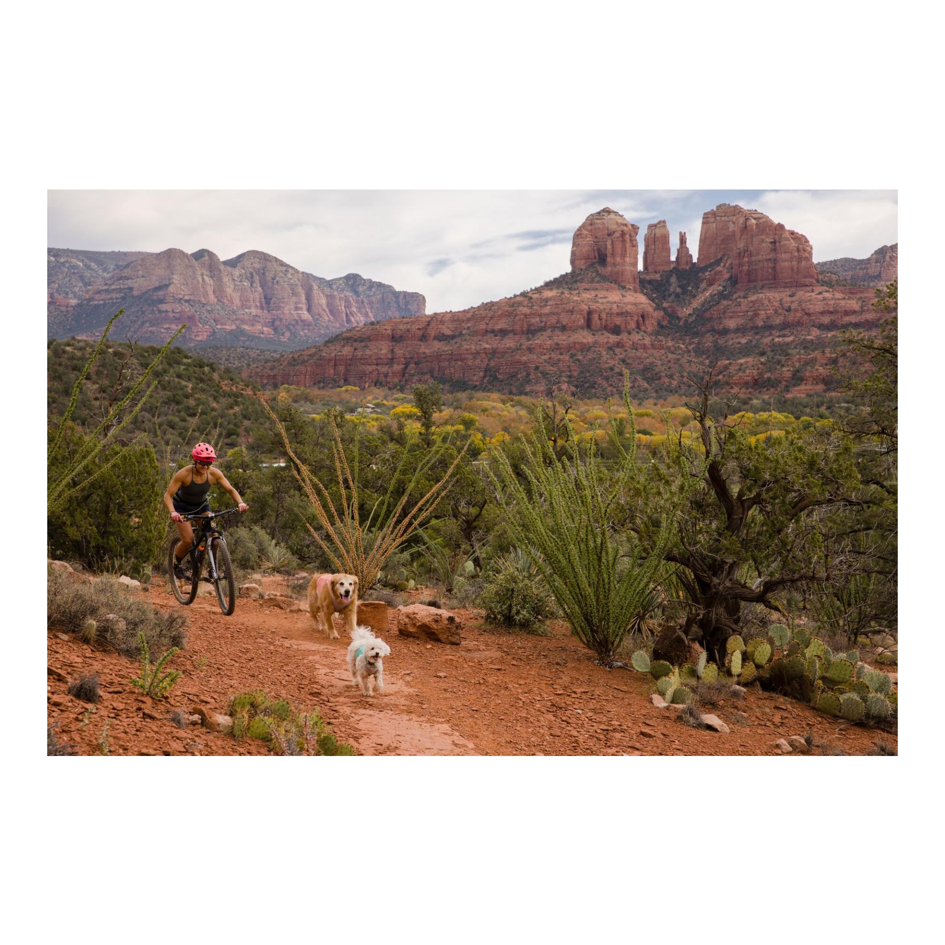 Ruffwear Swamp Cooler Zip™ Weste