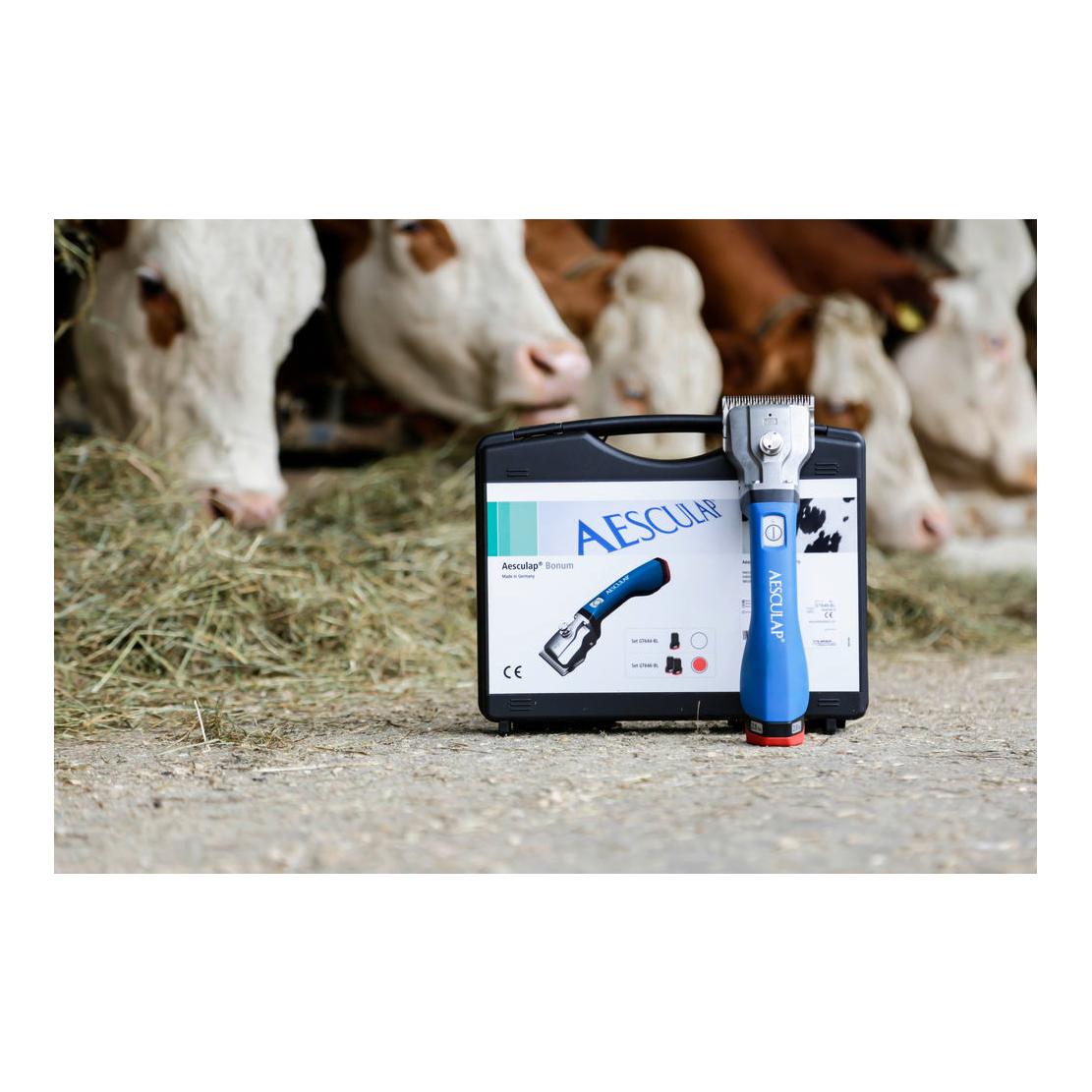 Aesculap Tondeuse sans fil Bonum Rind avec 1 batterie - bleu