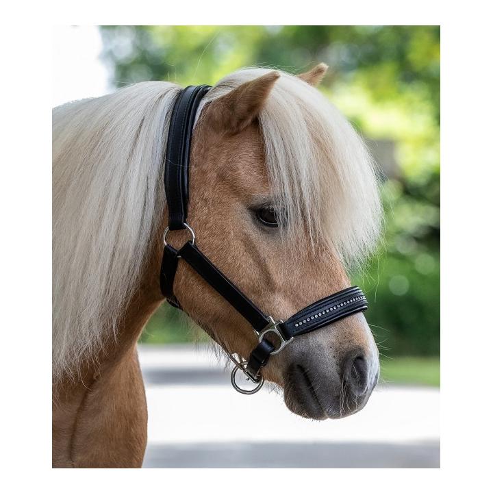 Star Lederhalfter Diamond - schwarz