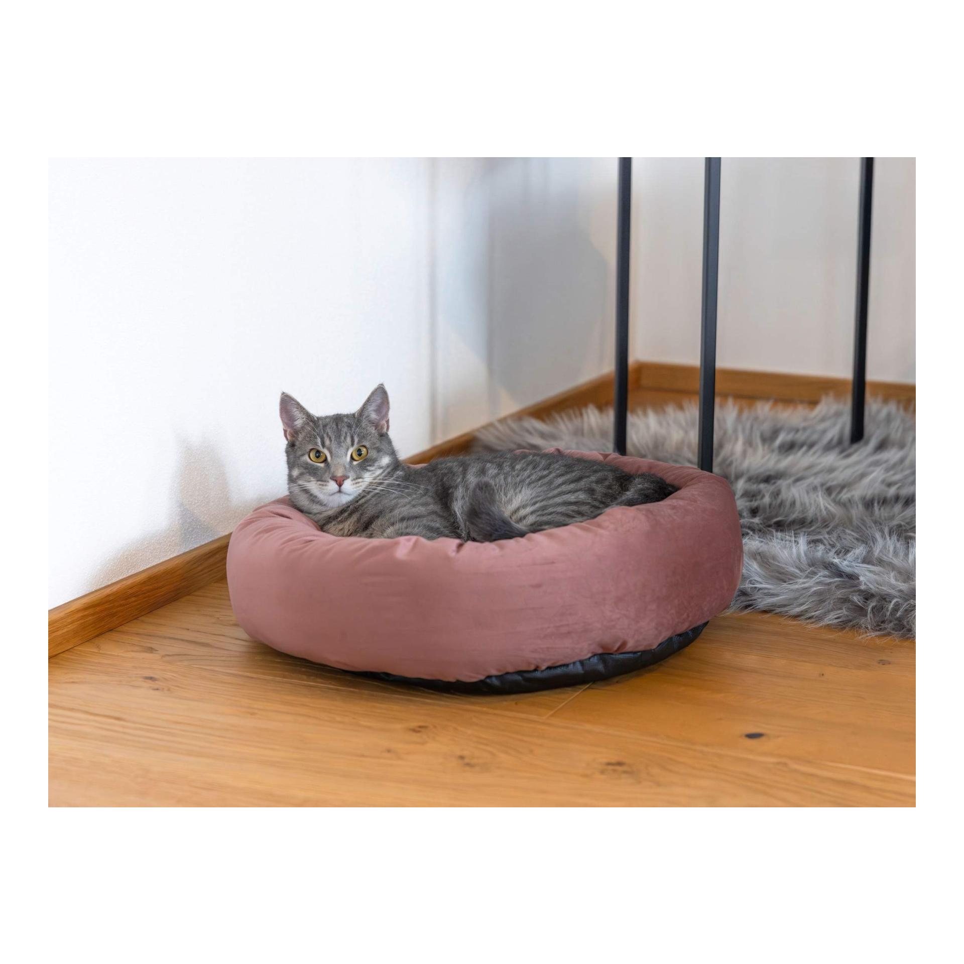 Kerbl Pet Kuschelbett Velvet für Katzen & kleinen Hunden