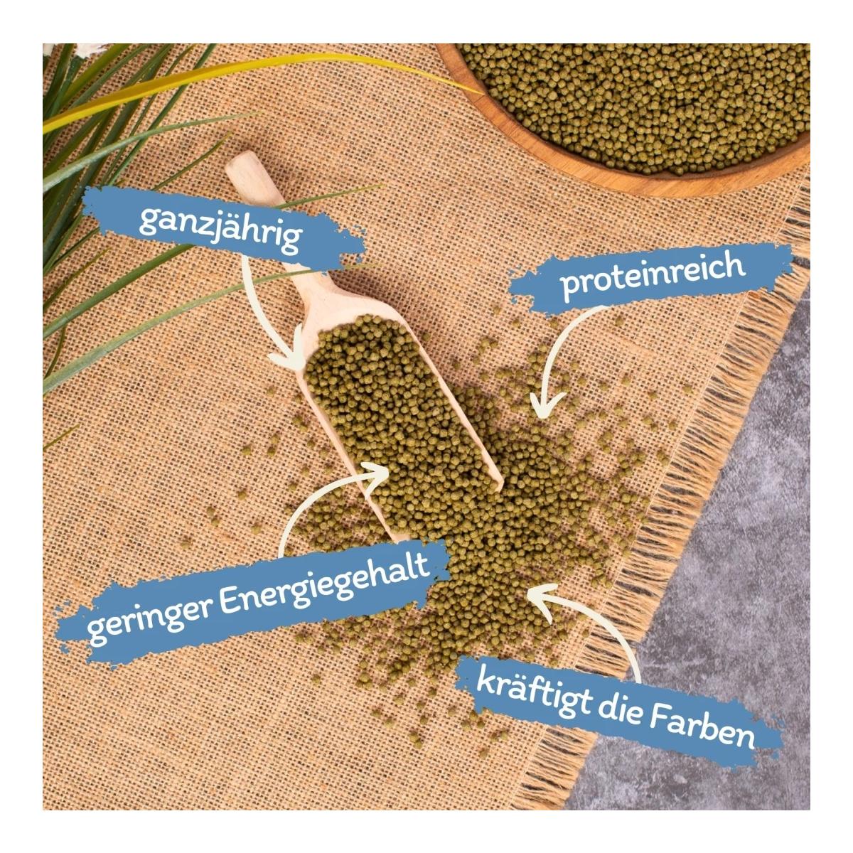 Lyra Pet Pond Koi Beauty Pellets Staple (3.0 mm) Fisch und Teichfutter