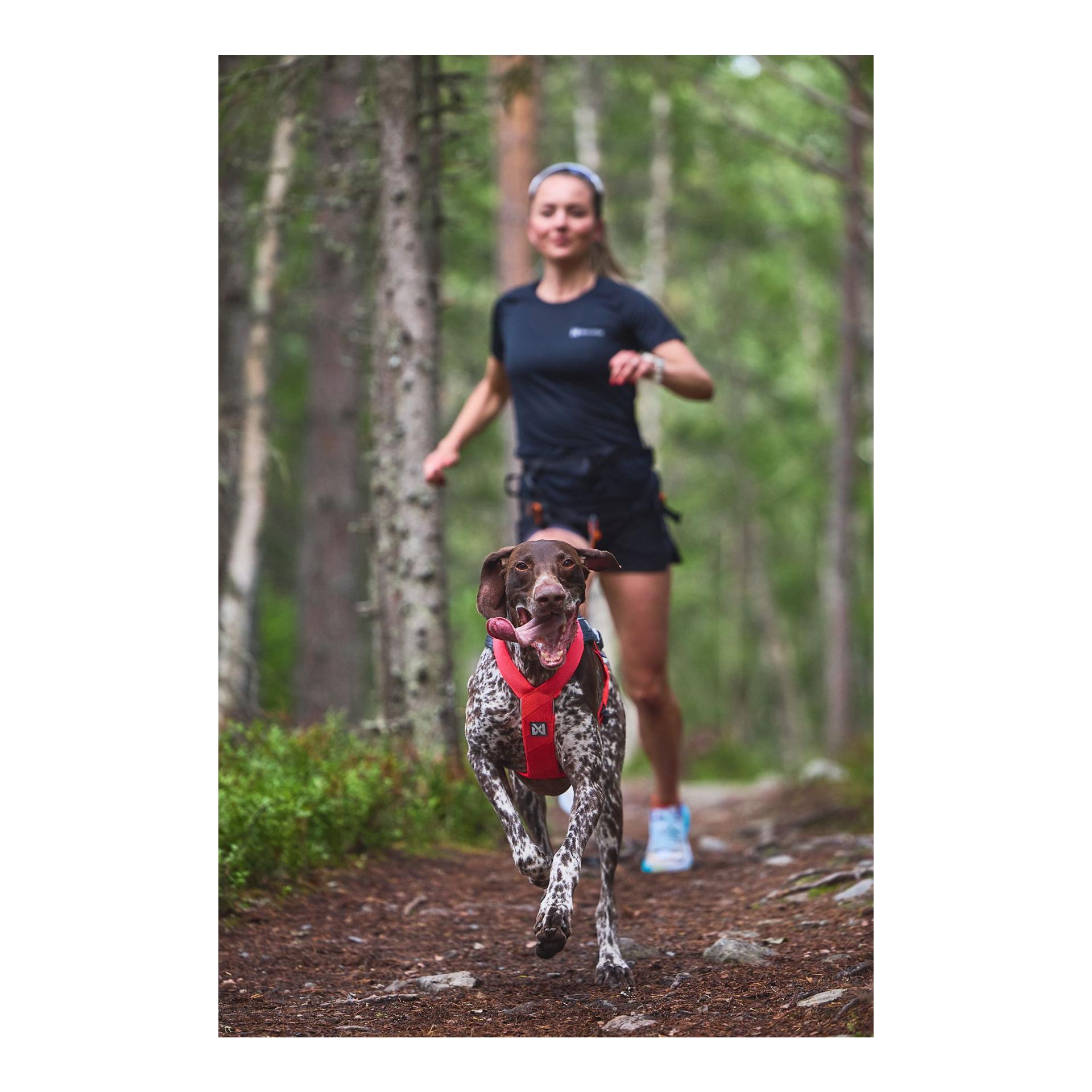Non-stop Dogwear Harnais Freemotion Harness 5.0