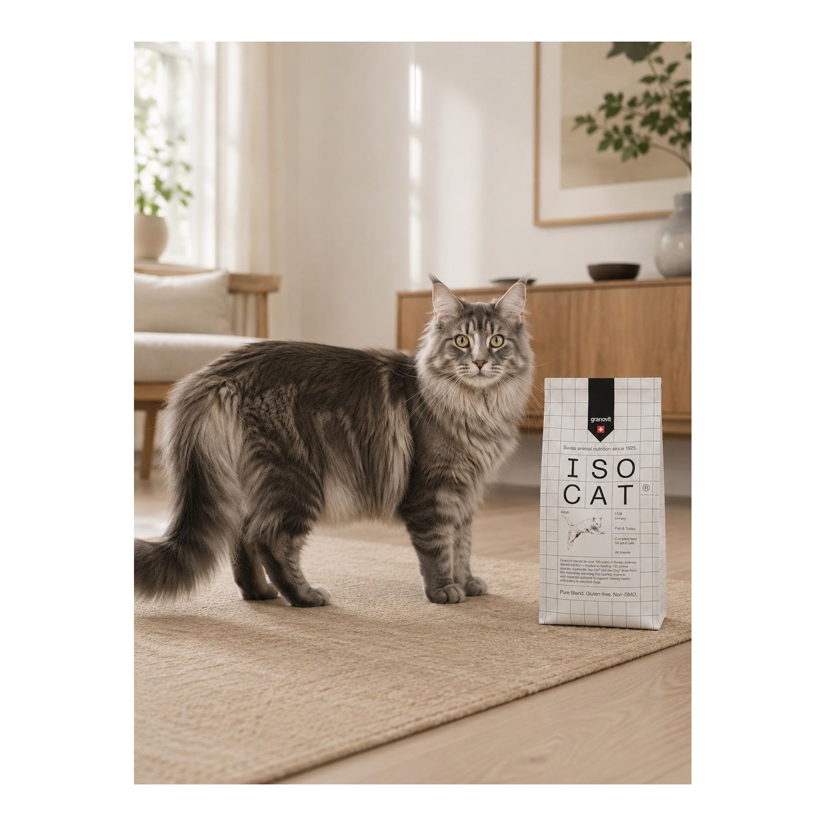 Iso-Cat Adult 1728 Urinary Poisson & Dinde