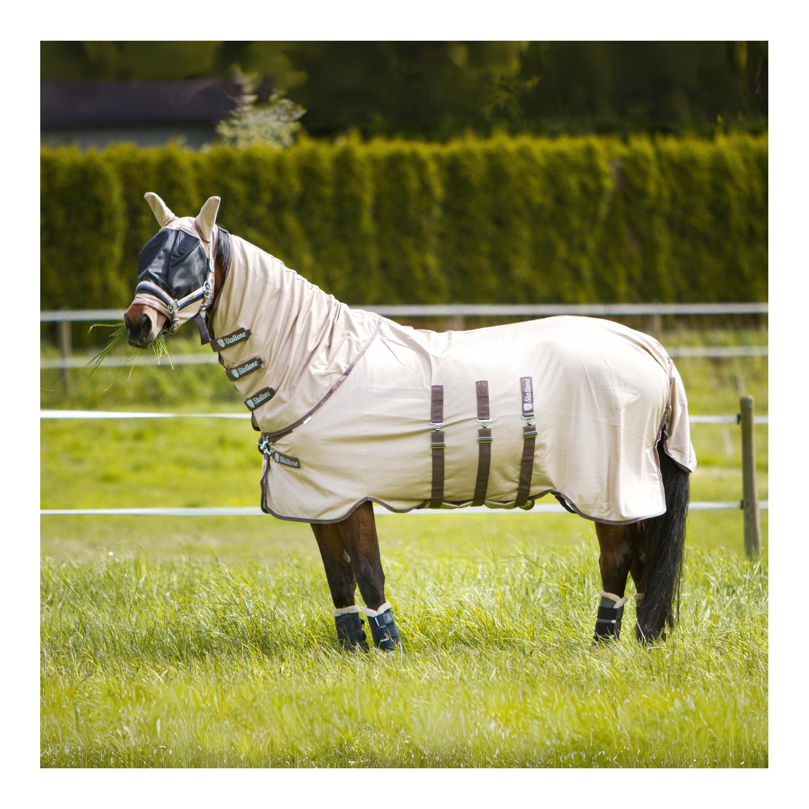 Stallone Halsteil Summer Guard