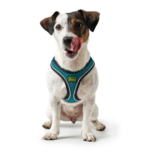 Hunter Harnais pour chien Hilo Comfort - turquoise