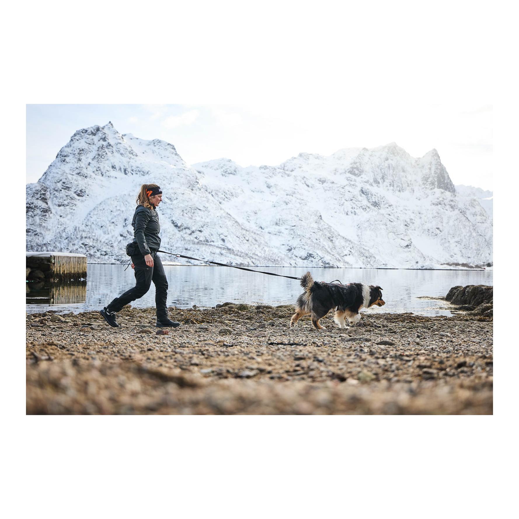 Non-stop Dogwear Trail Light Belt