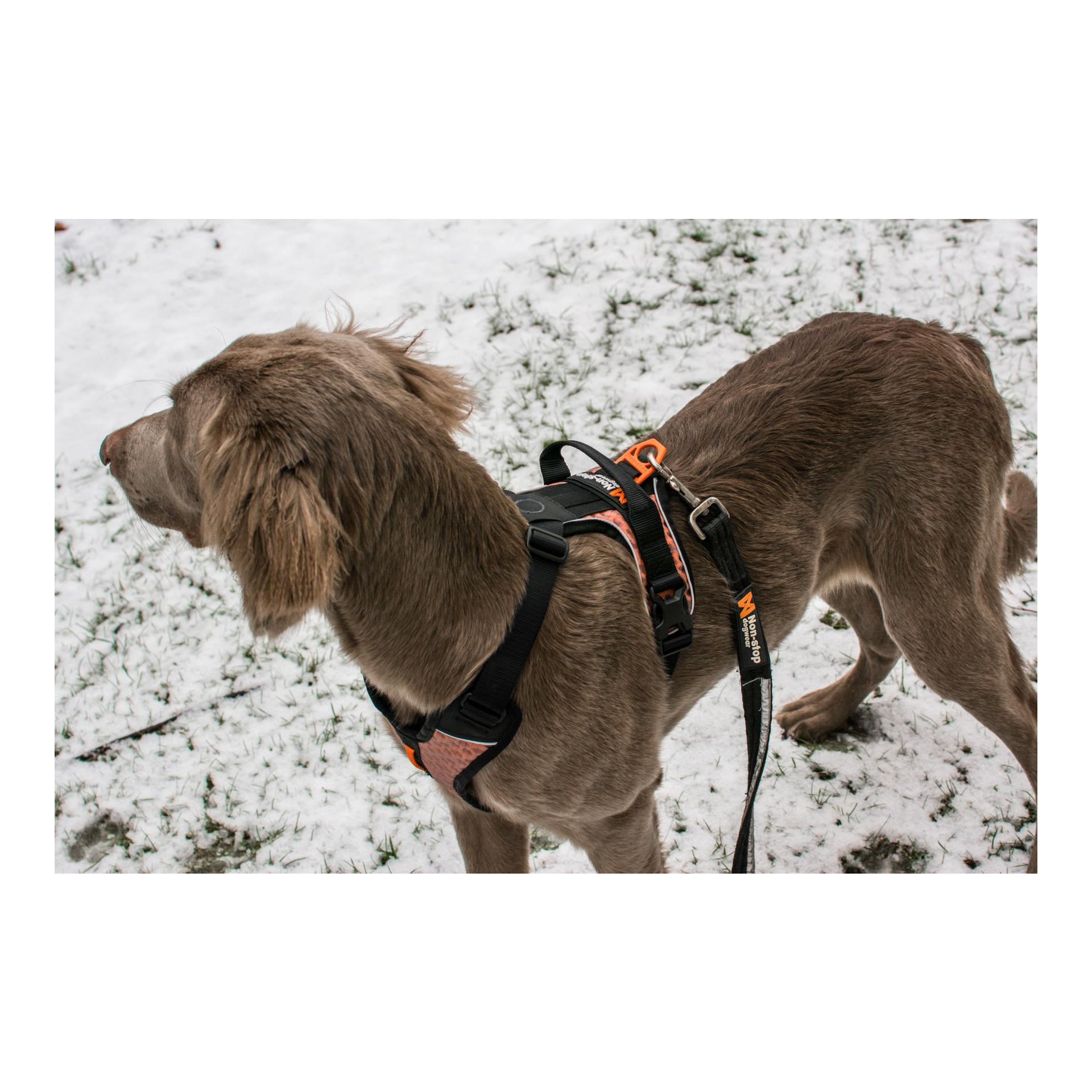 Non-stop Dogwear Strong Leash