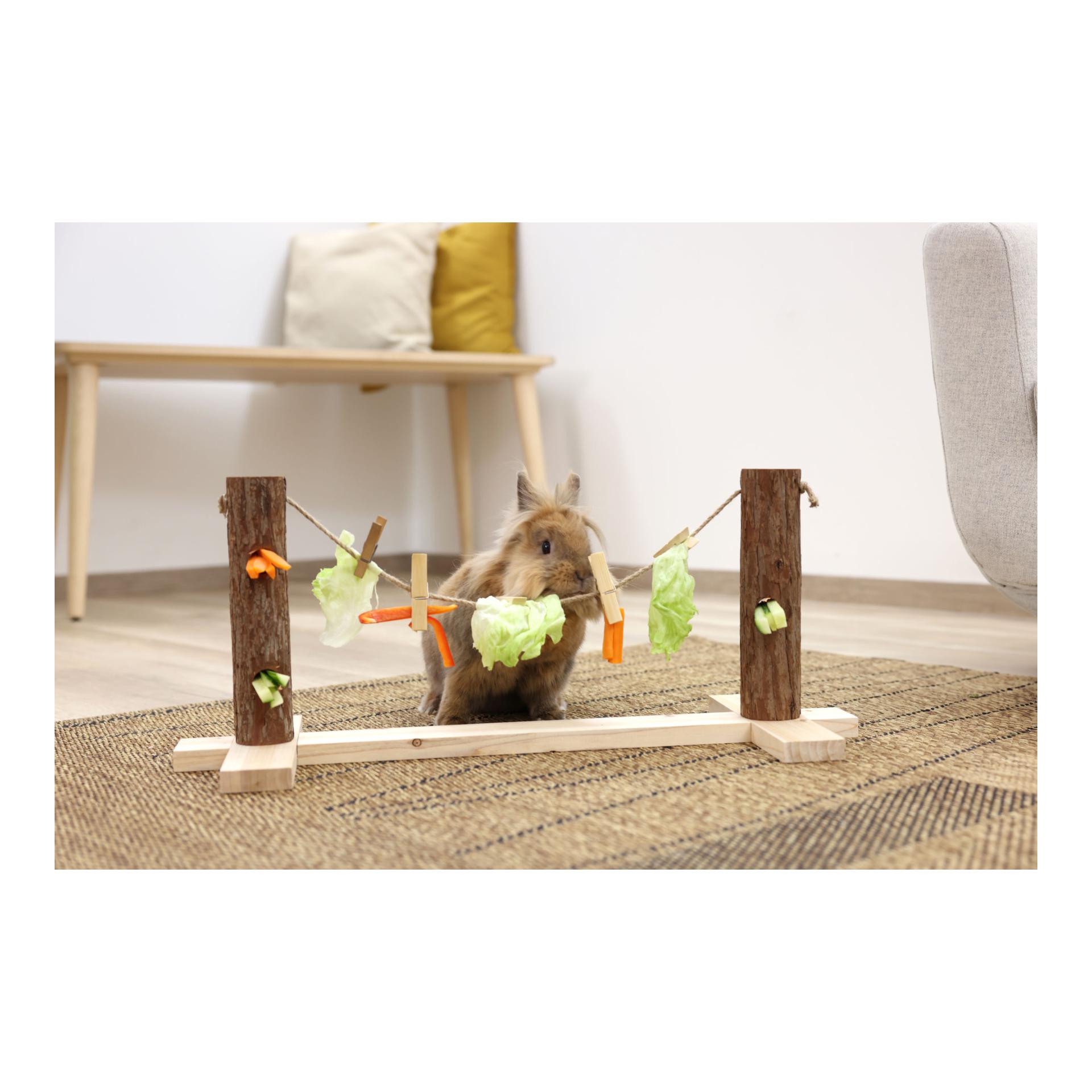 Kerbl Pet Laisse pour lapin avec 5 clips