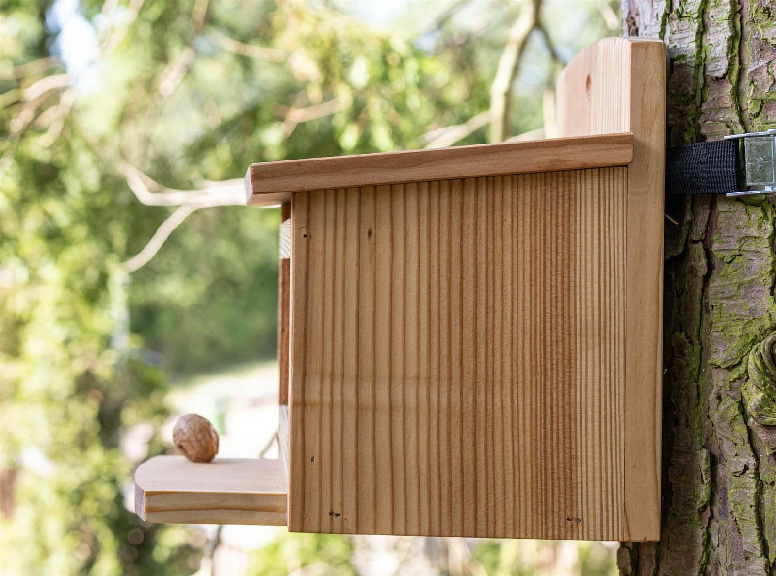 Hauptner Eichhörnchen Futterhaus komplett aus EU Lärche - Nussspender / Futterbox