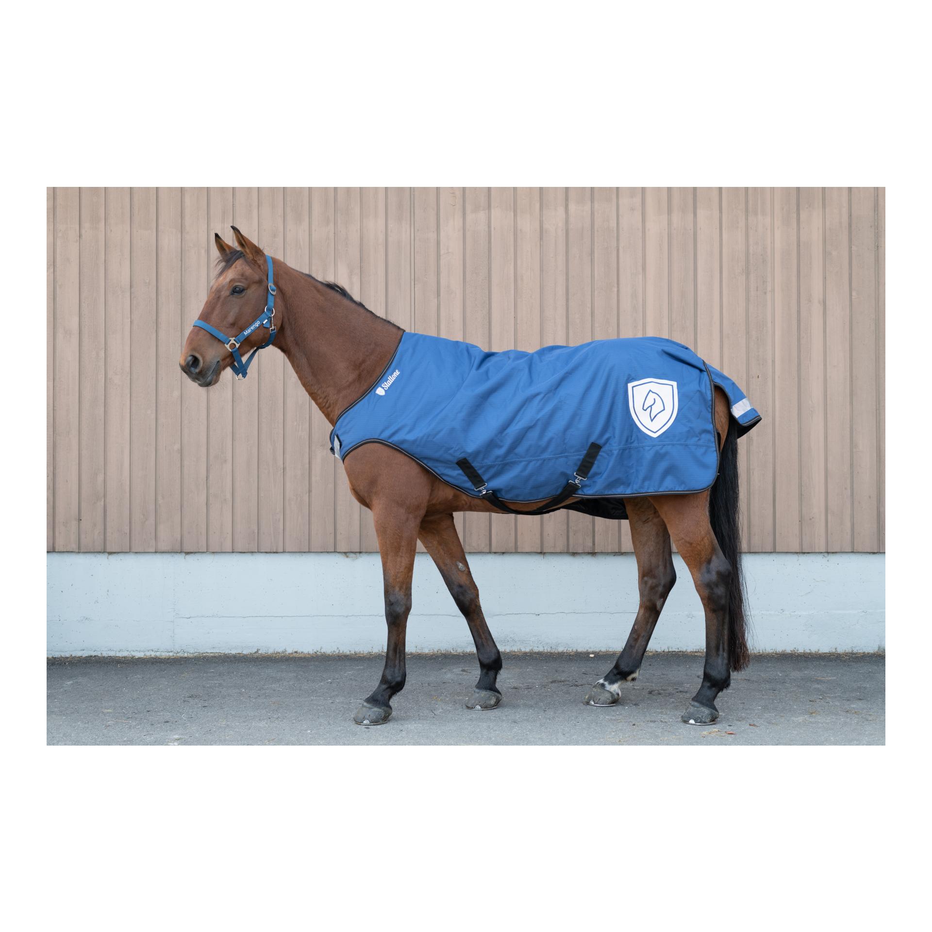 Stallone Walker Rug 100 g