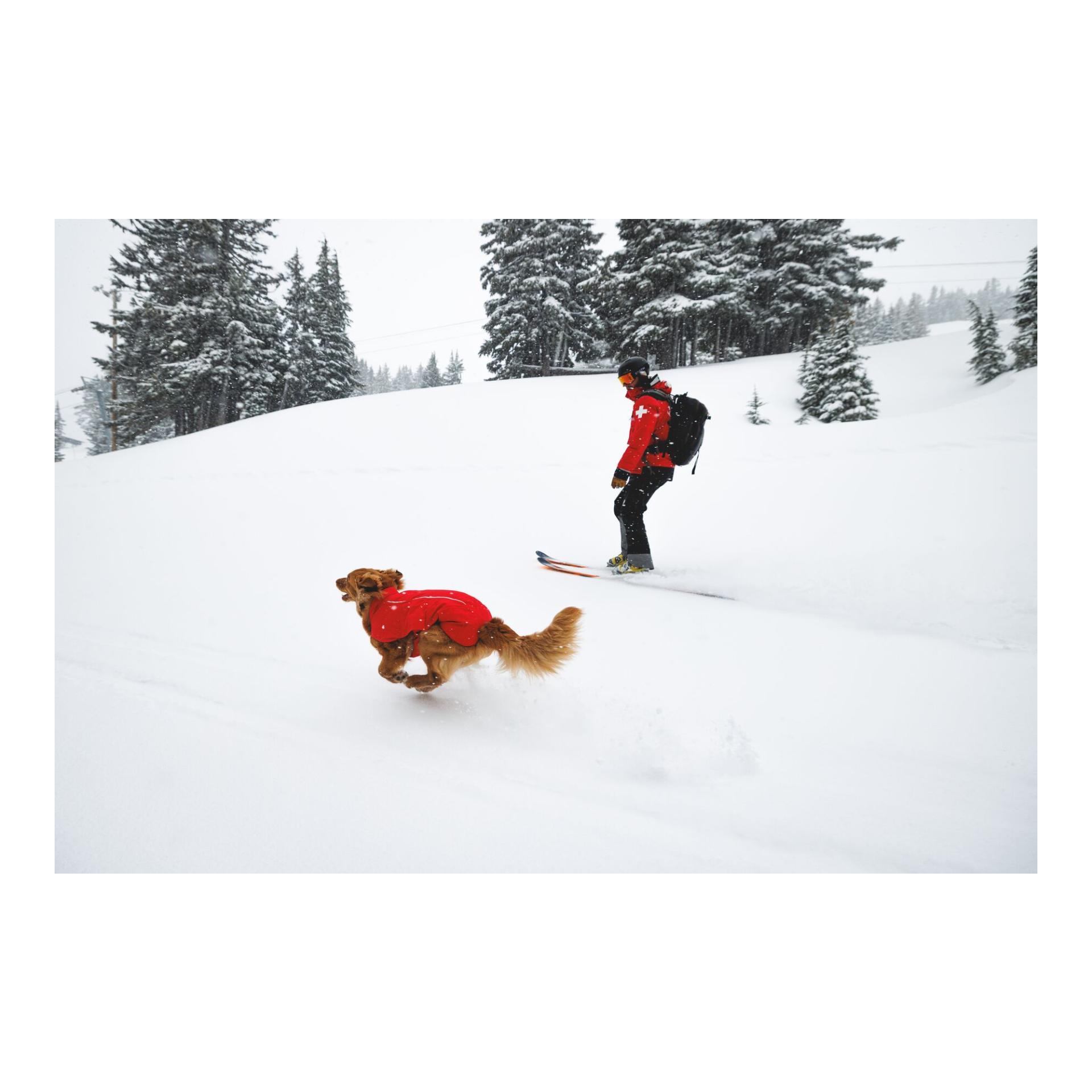 Ruffwear Powder Hound™ Wasserdichte wattierte Hundeweste