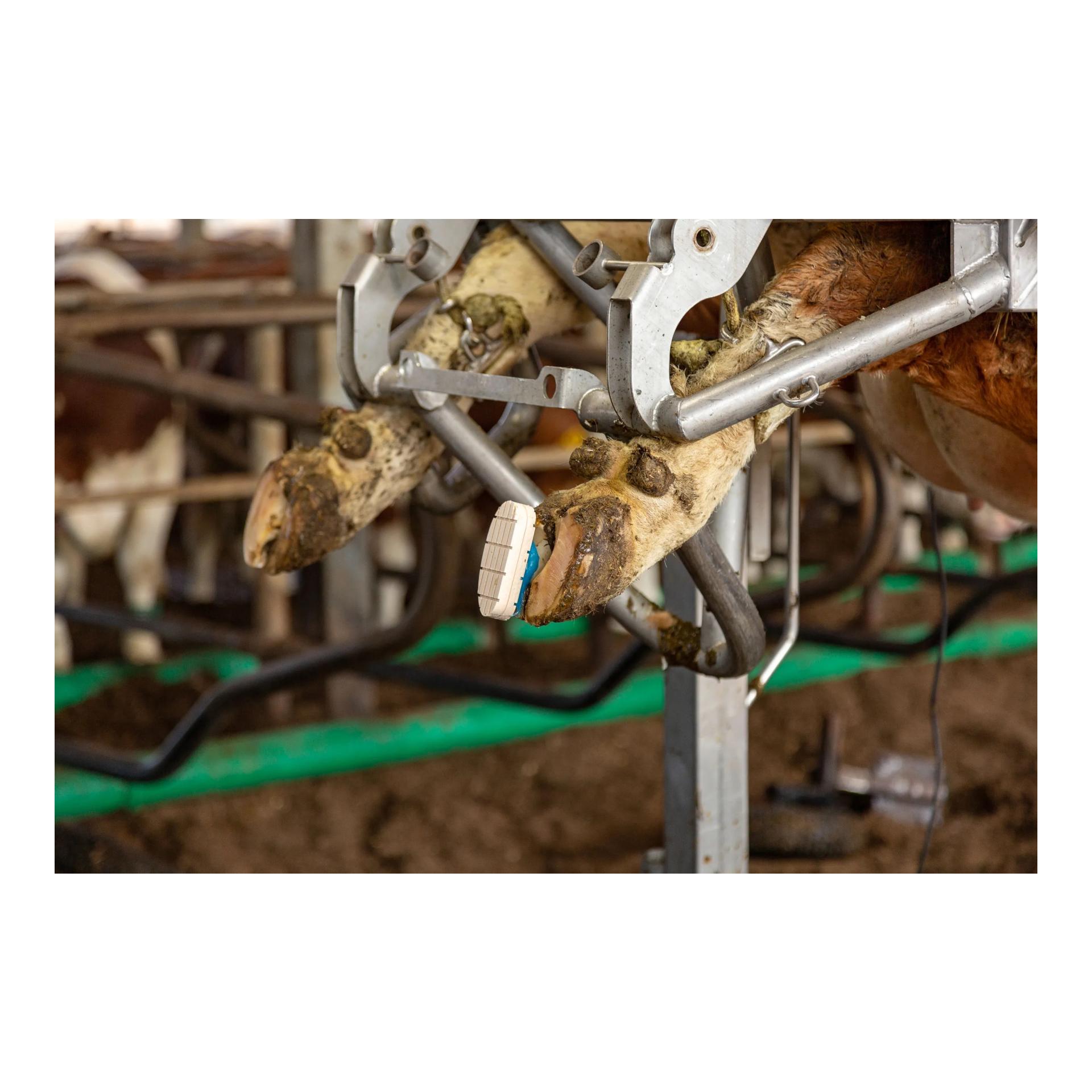 Kerbl Colle à 2 composants Farmerset Technobase 2CB