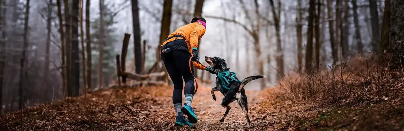 Hauptner-Hund-Sport_mit_Hund