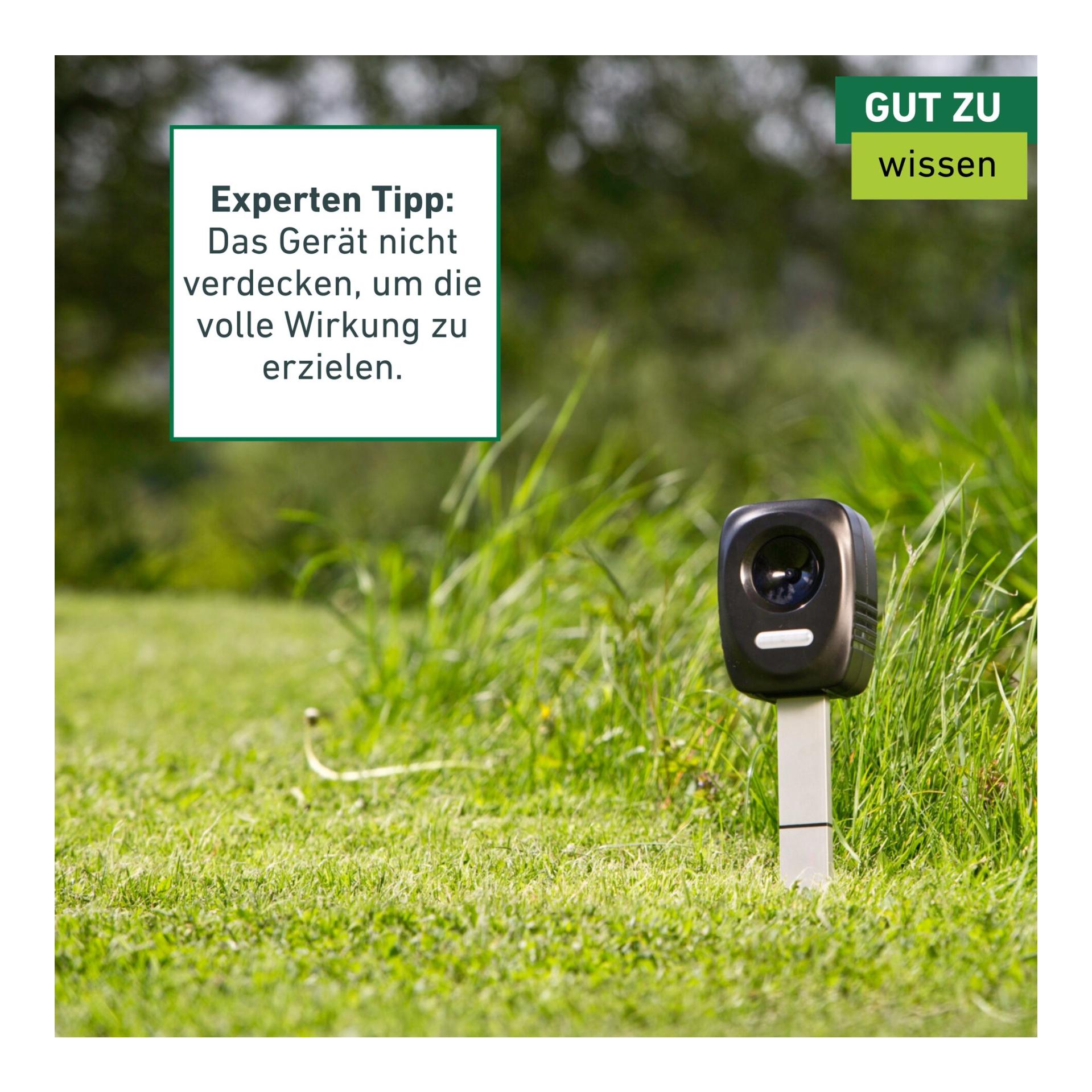 Windhager Hunde-/Katzen-/Marder-Schreck «Ultrasonic»